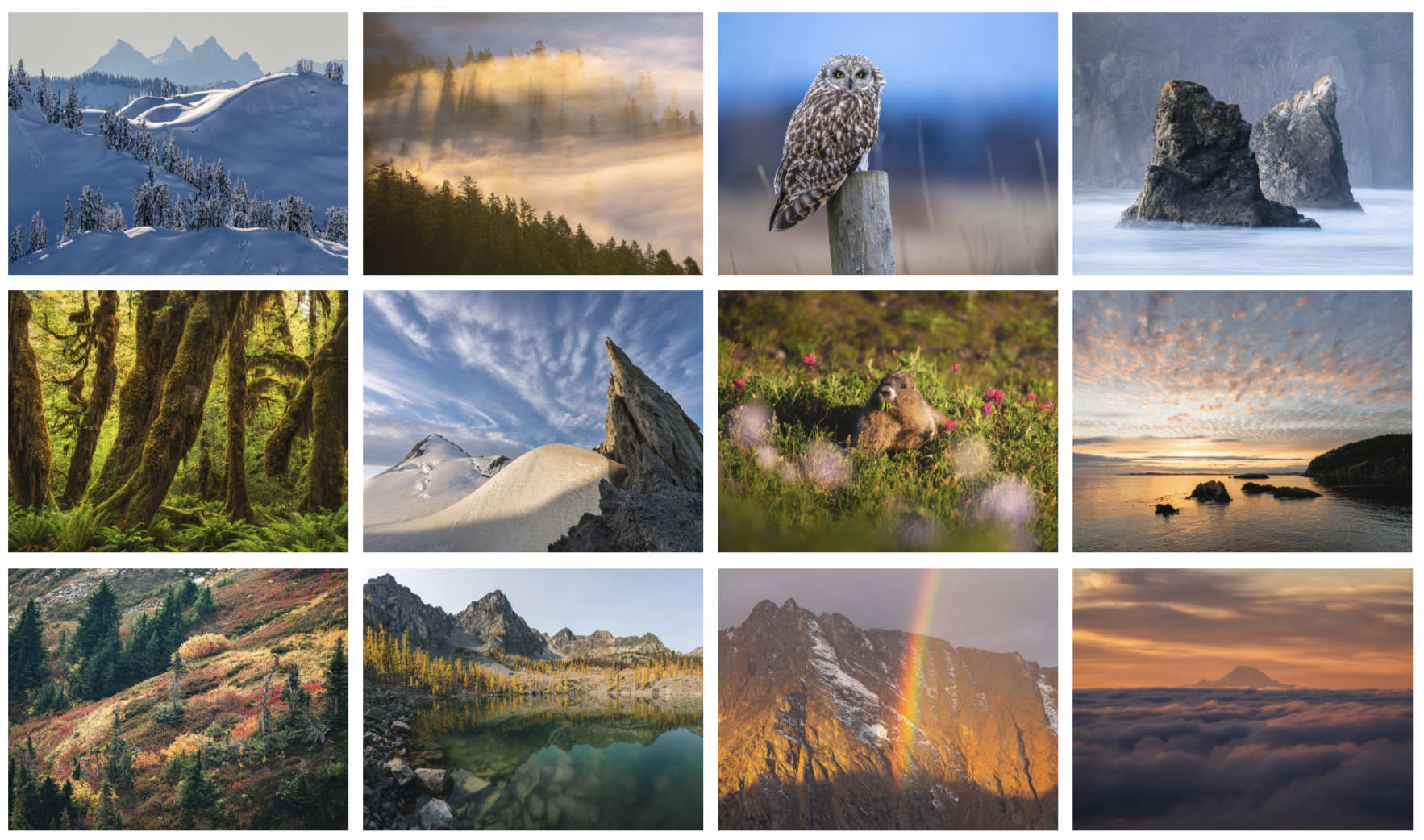 2027 calendar grid 1  .png