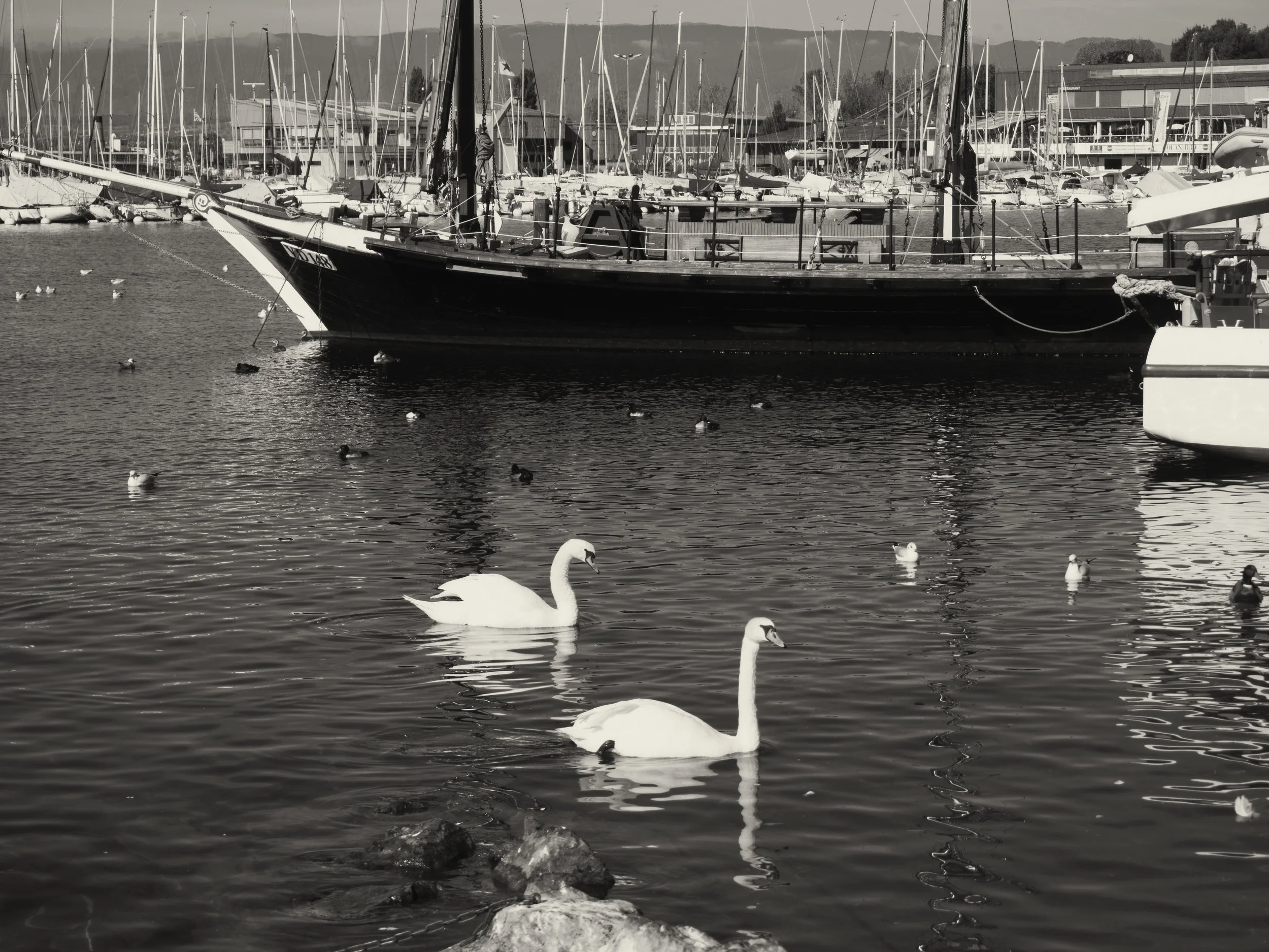 vevey-46.jpg