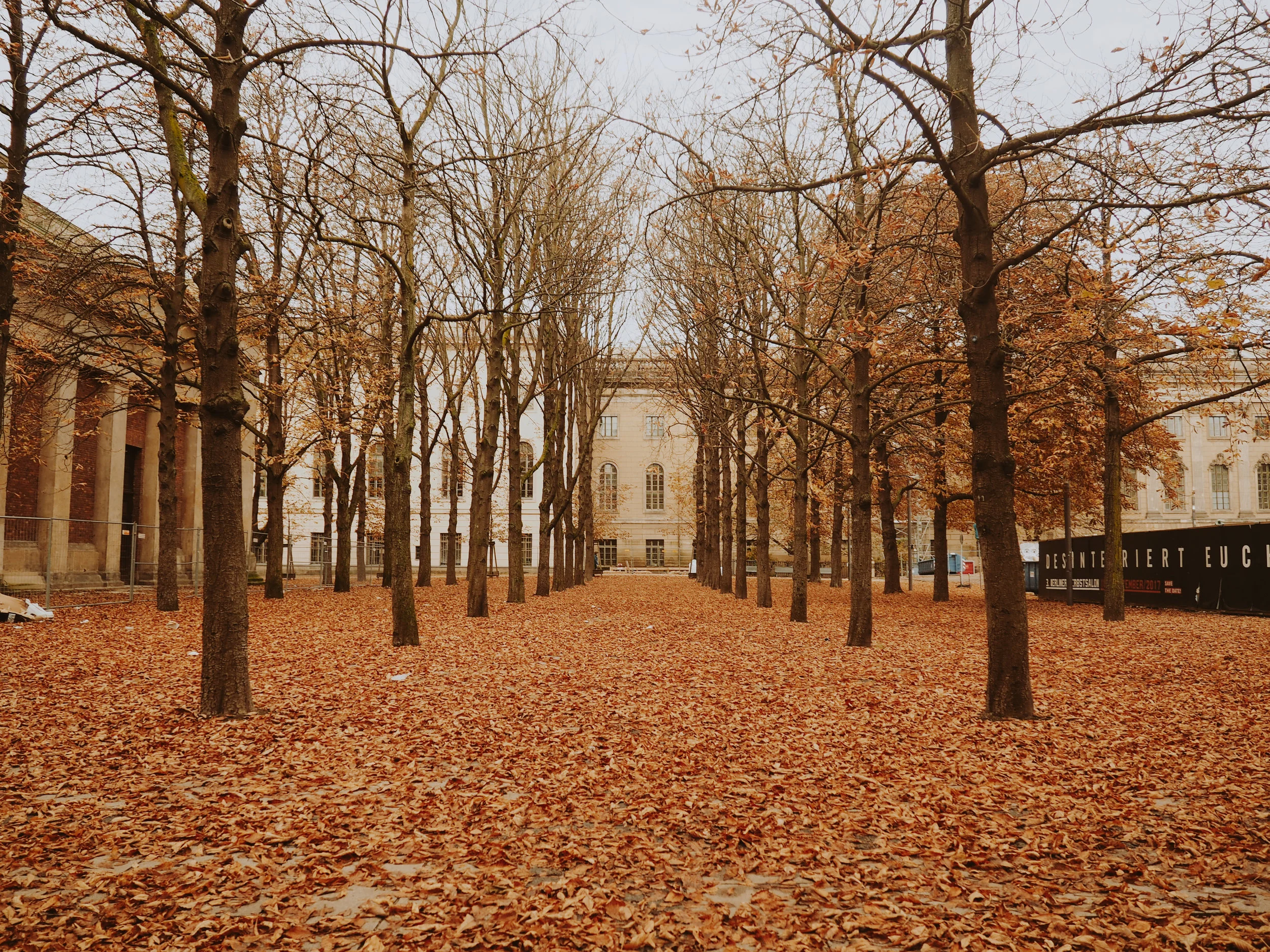 berlin-80.jpg