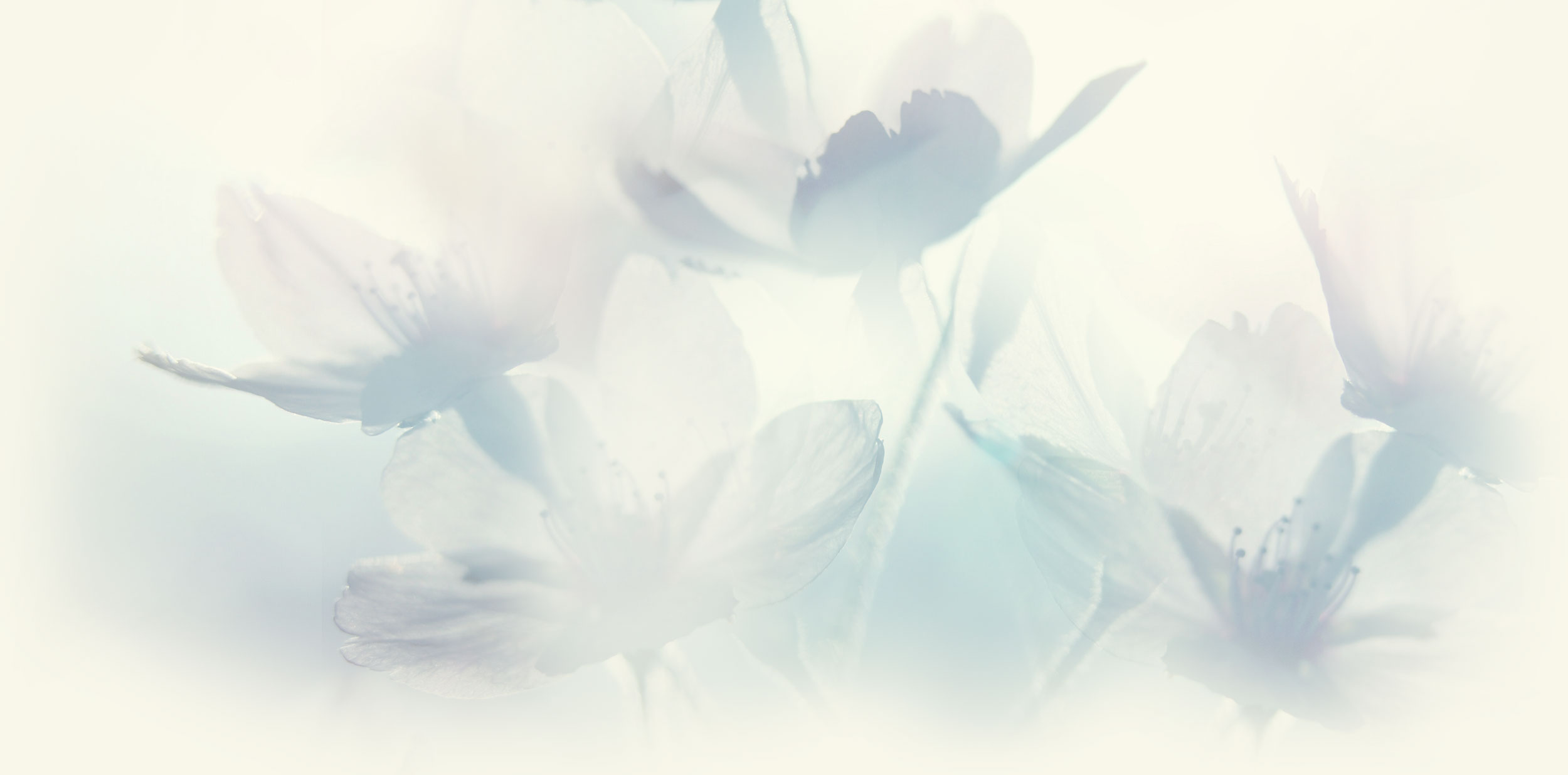 background-image.jpg