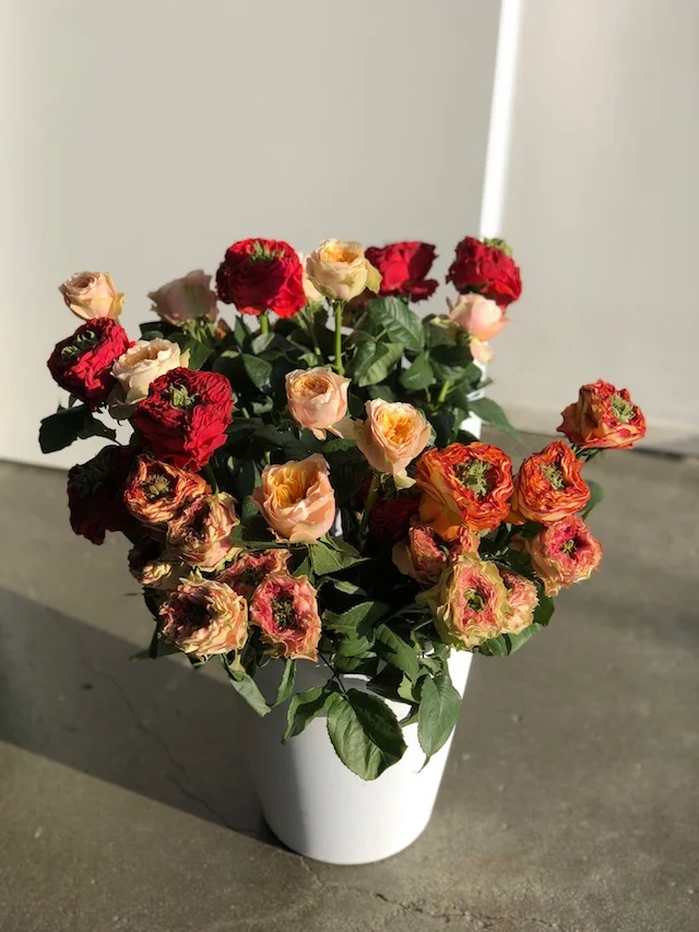 Petalfox Flowers.jpg