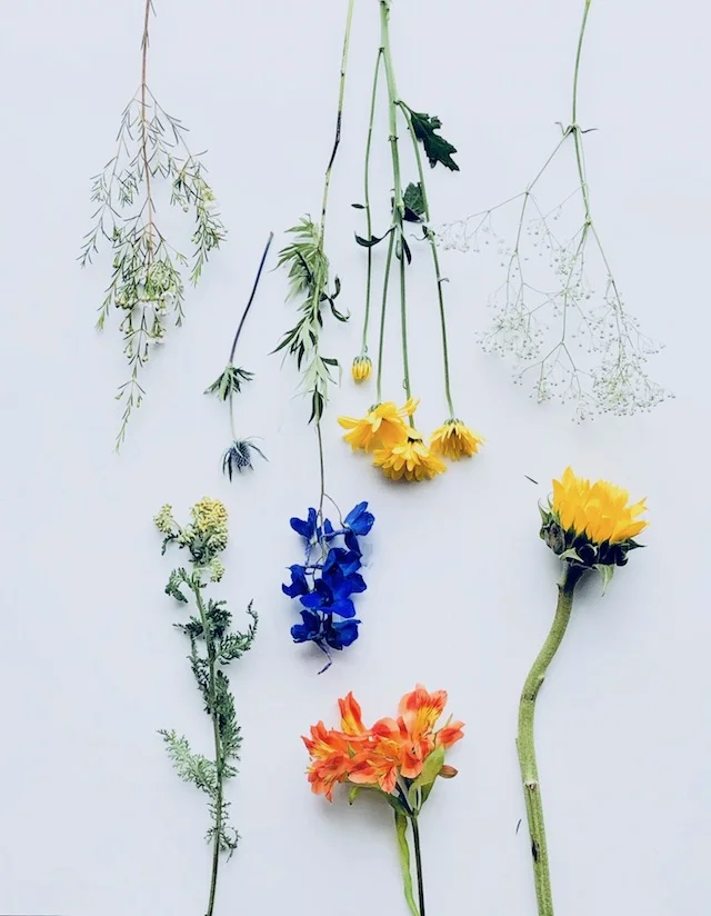 PetalfoxFlowers.jpg