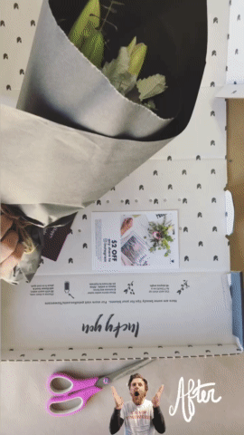 Petalfox%20Unboxing%202-2.gif