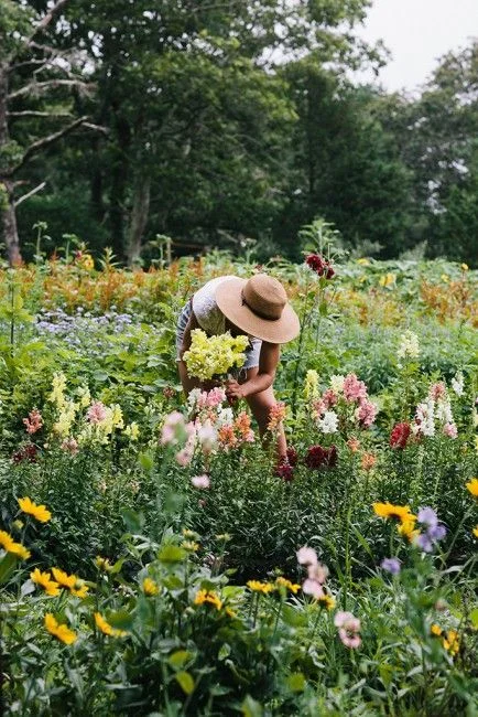 Flower Harvest by Elizabeth Cecil / EdibleVineyard
