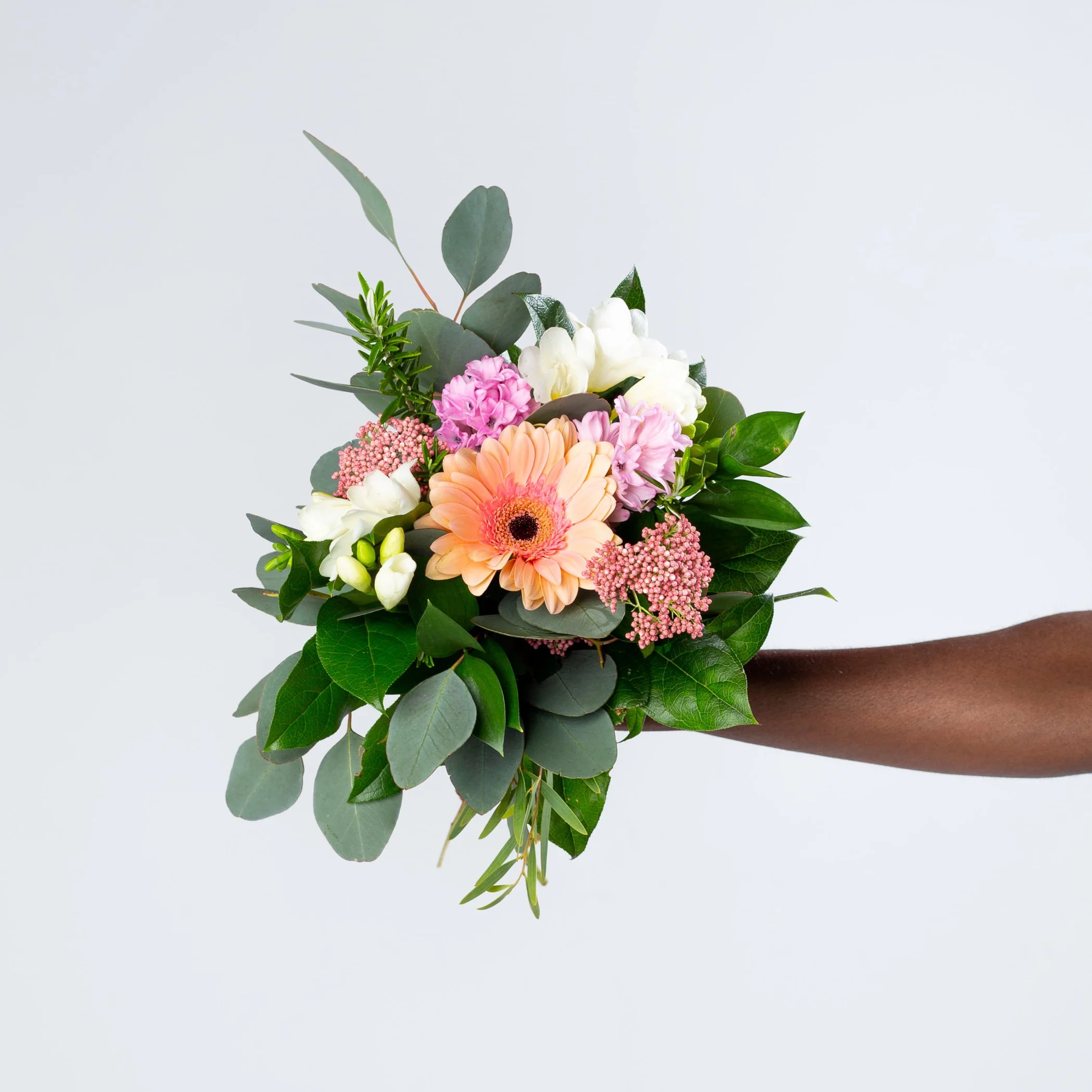 040919_Petalfox-67.jpg