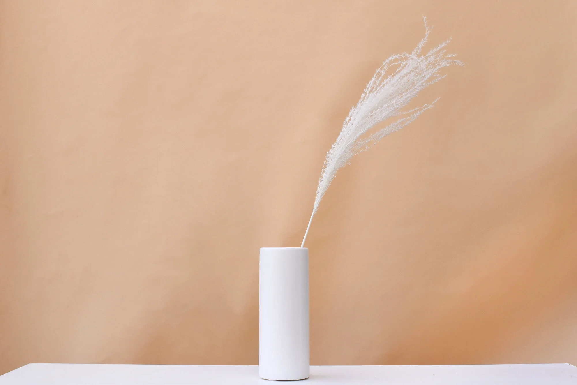 DB-WHITE MISCANTHUS SINGLE.JPG