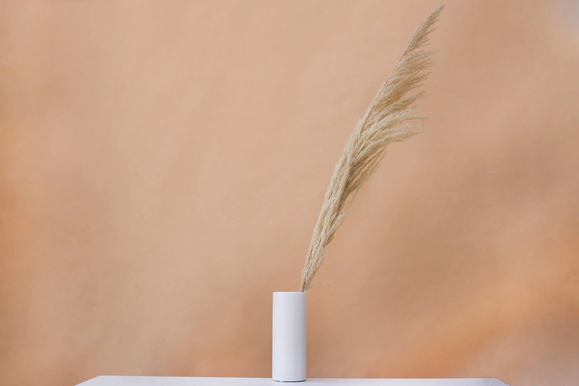 DB-PAMPAS NATURAL.JPG