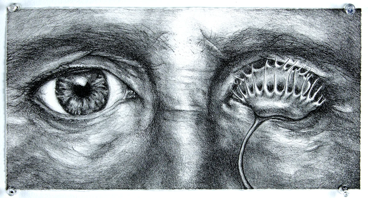 Venus Eye Trap 2016 Crayonstone Lithograph 6"x14"