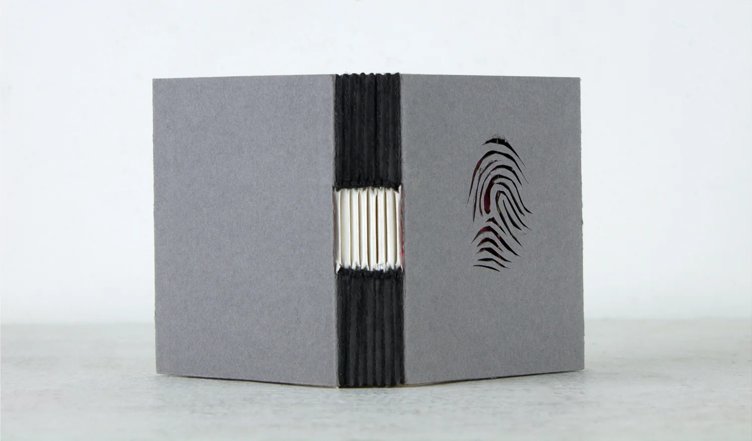 Buttonhole Stitch Handmade Book Structure (view 2)