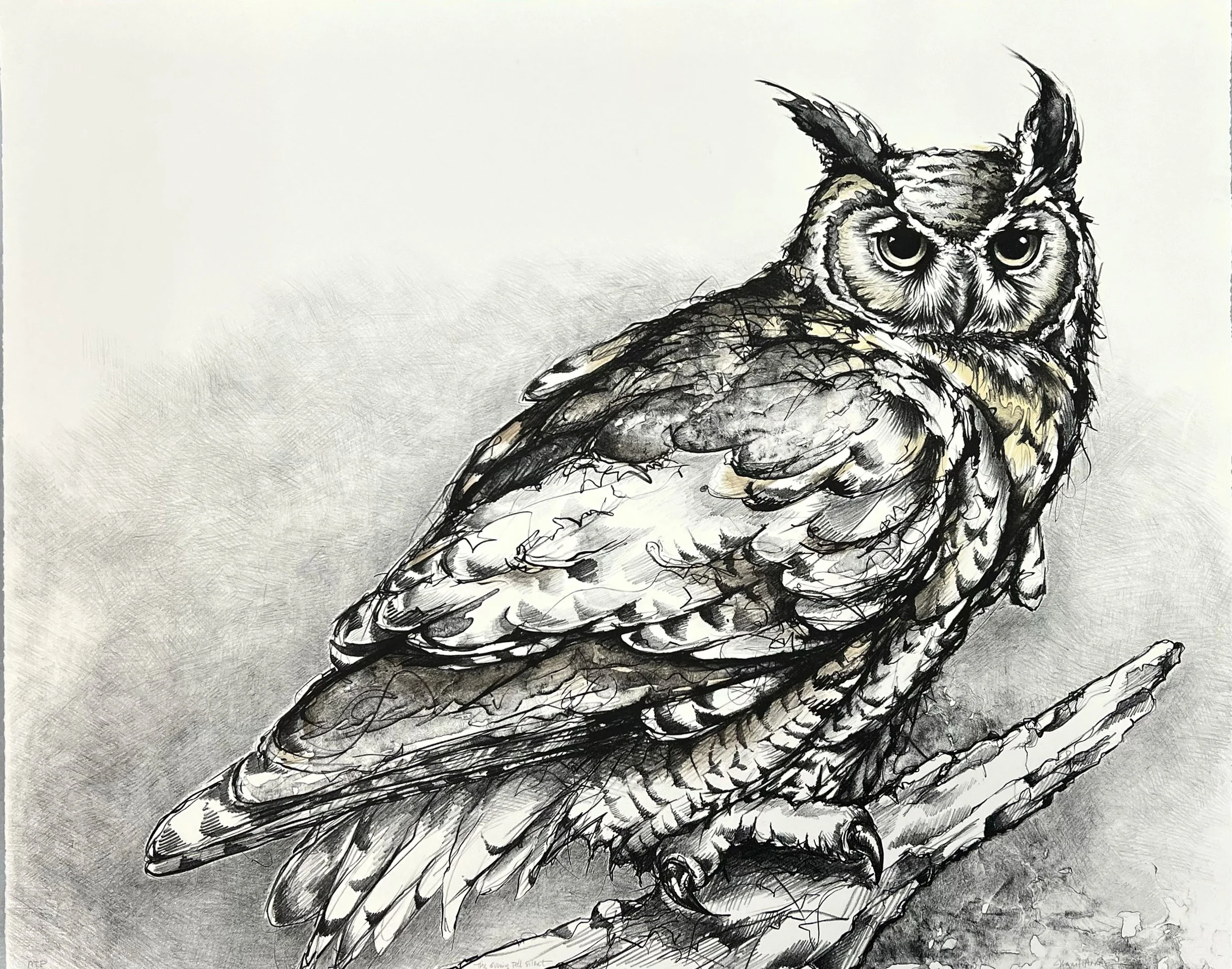 Anderson_Jennifer_The Evening Fell Silent_Lithograph copy.jpeg