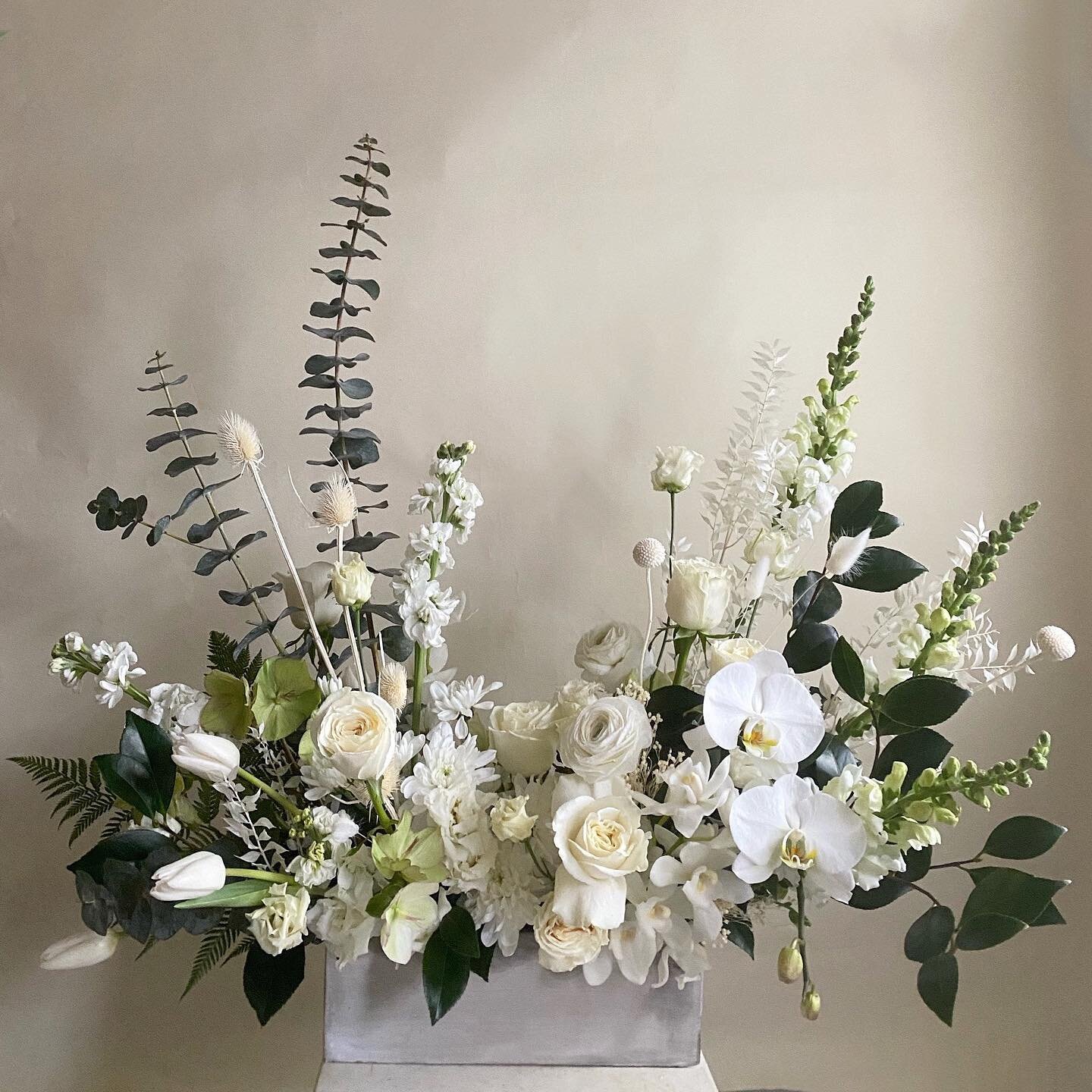 This week is going to be a pretty busy one for this floral team, so starting off this Monday morning with a little moment of calm and this simple white &amp; green beauty. 
⠀⠀⠀⠀⠀⠀⠀⠀⠀
What would you like to see this week?! We've got some beautiful eve