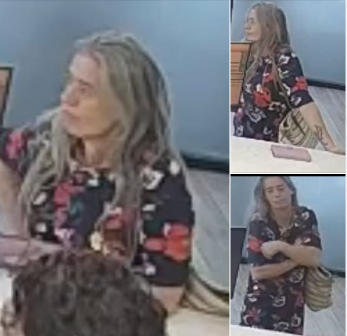 OPP fraud suspect.png