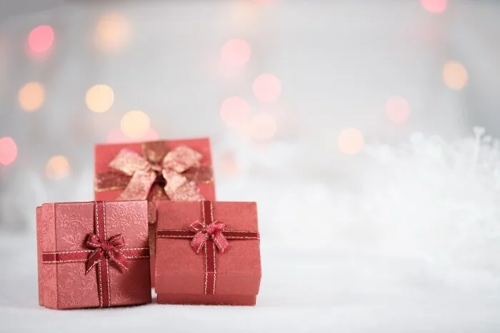 Unique Holiday Gift Guide from Suzanne Rugg Interior Design, LLC   