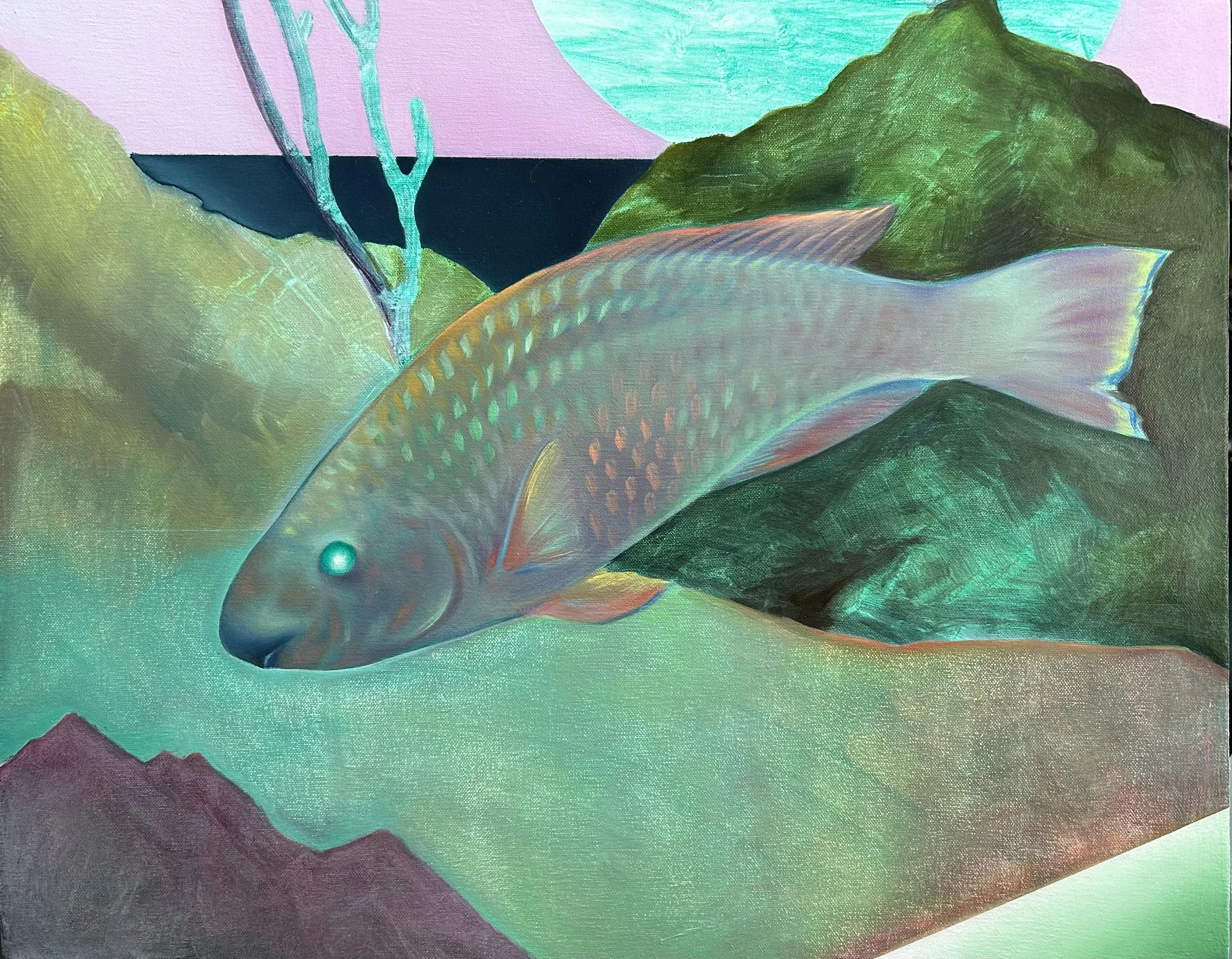 My Favorite Fish.jpeg