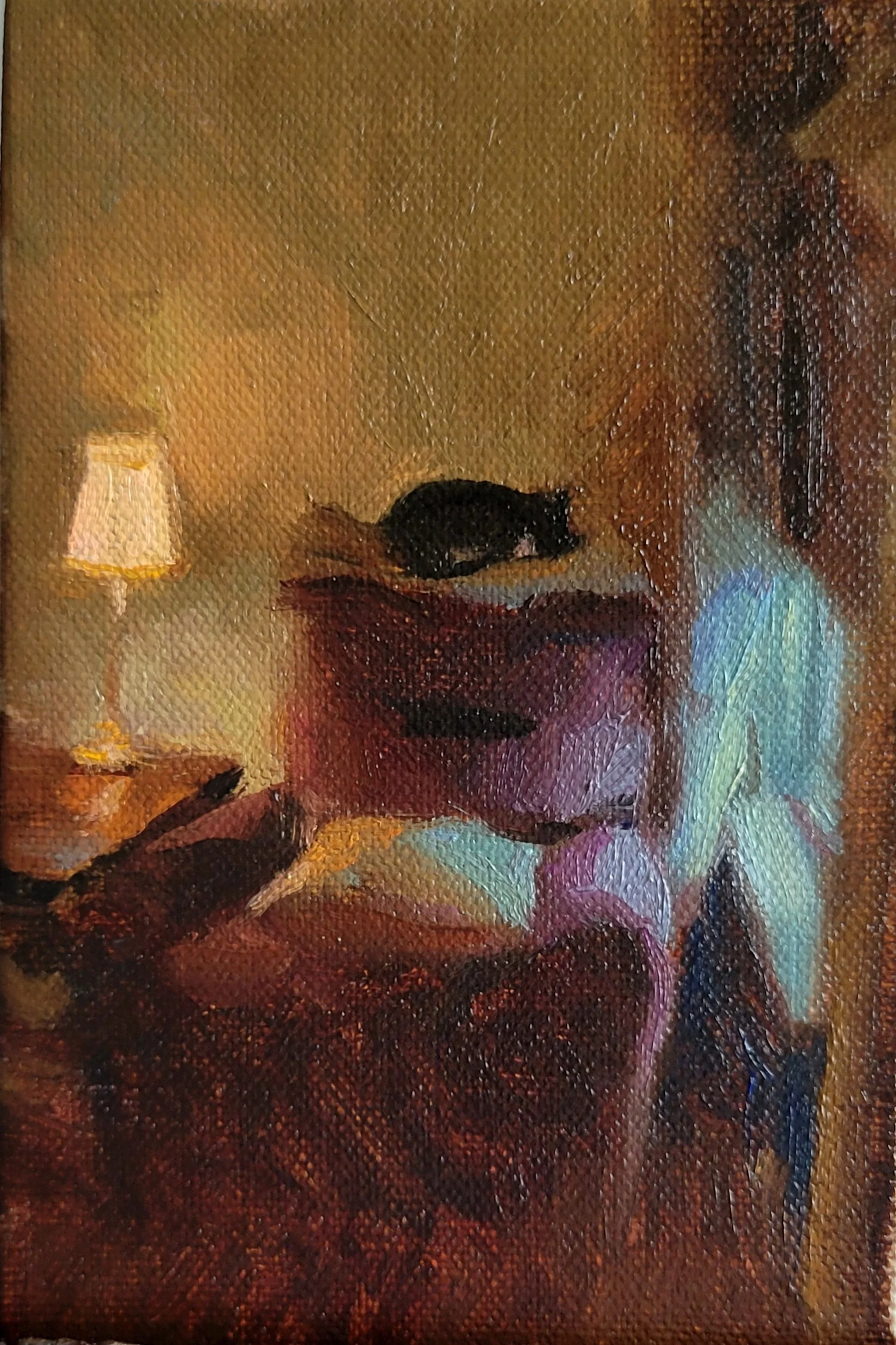 Cat's Favorite Spot.jpg