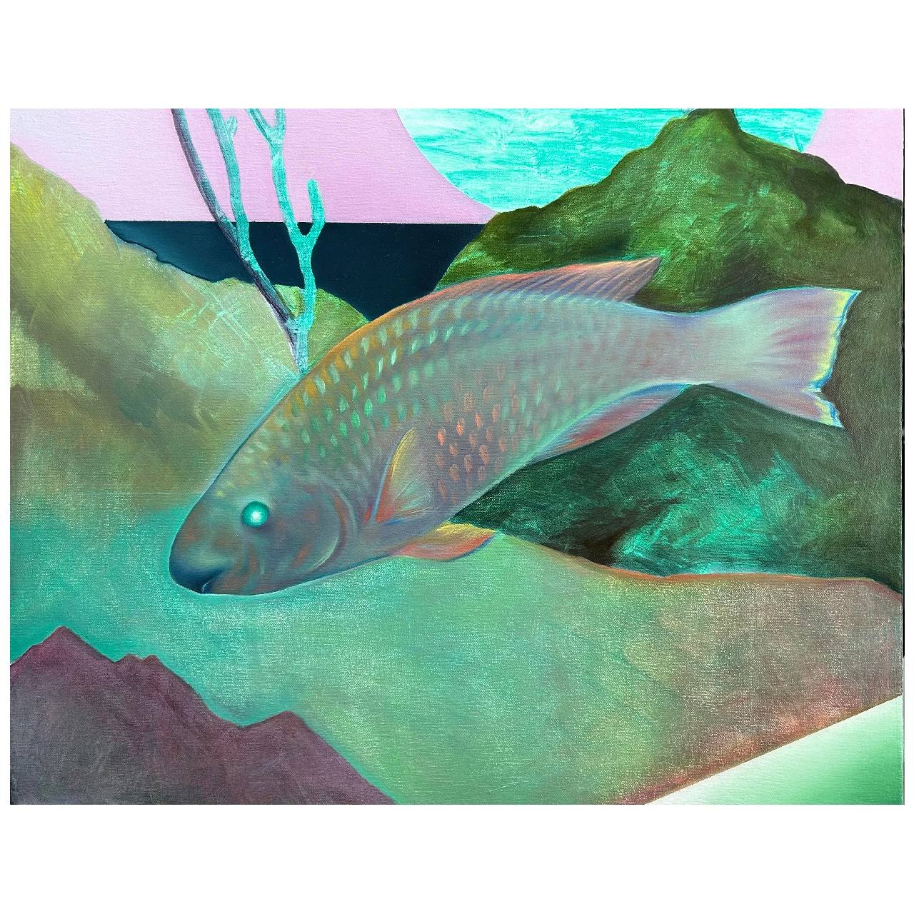 My Favorite Fish