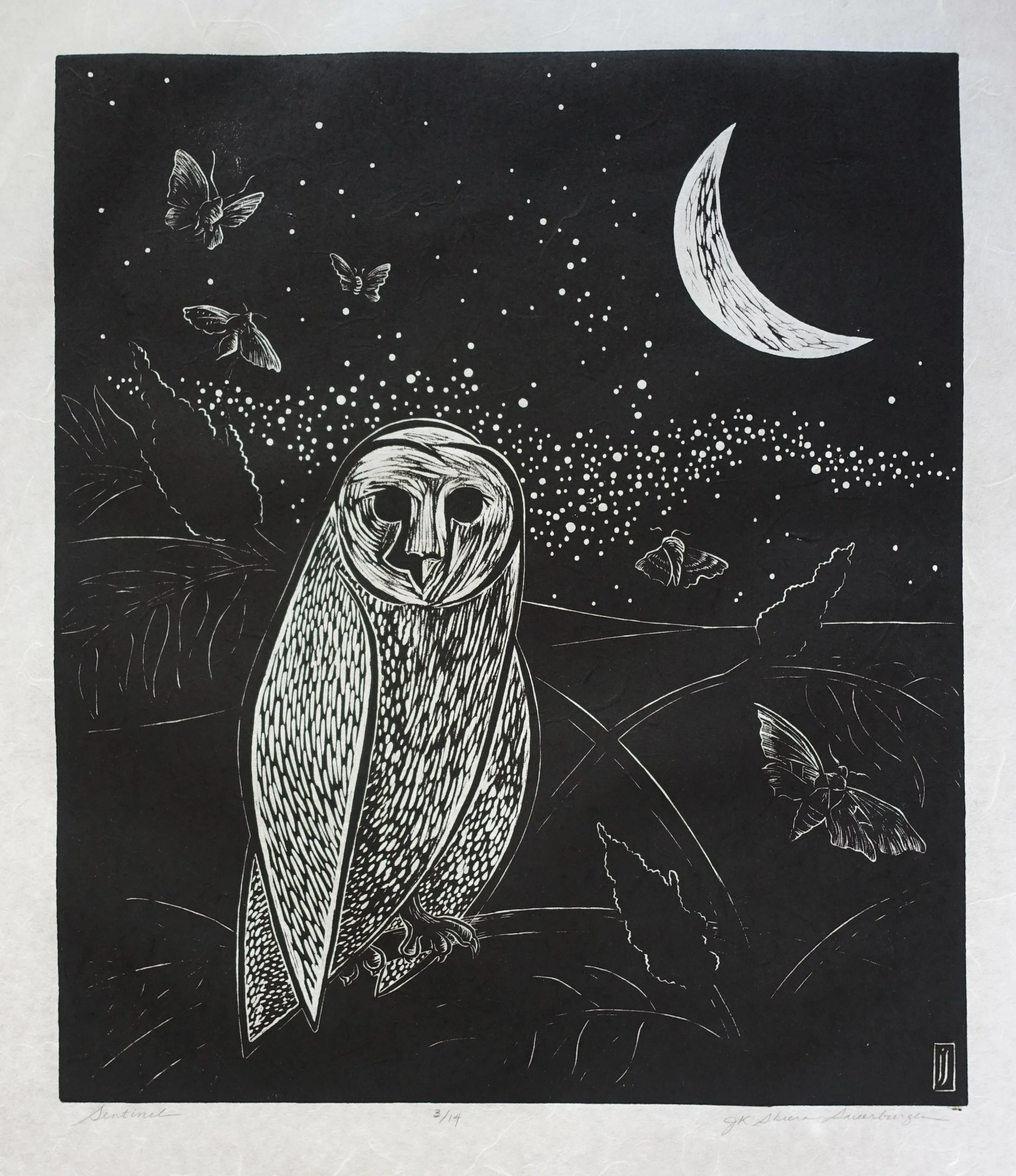 Sentinel by Jill Sauerburger