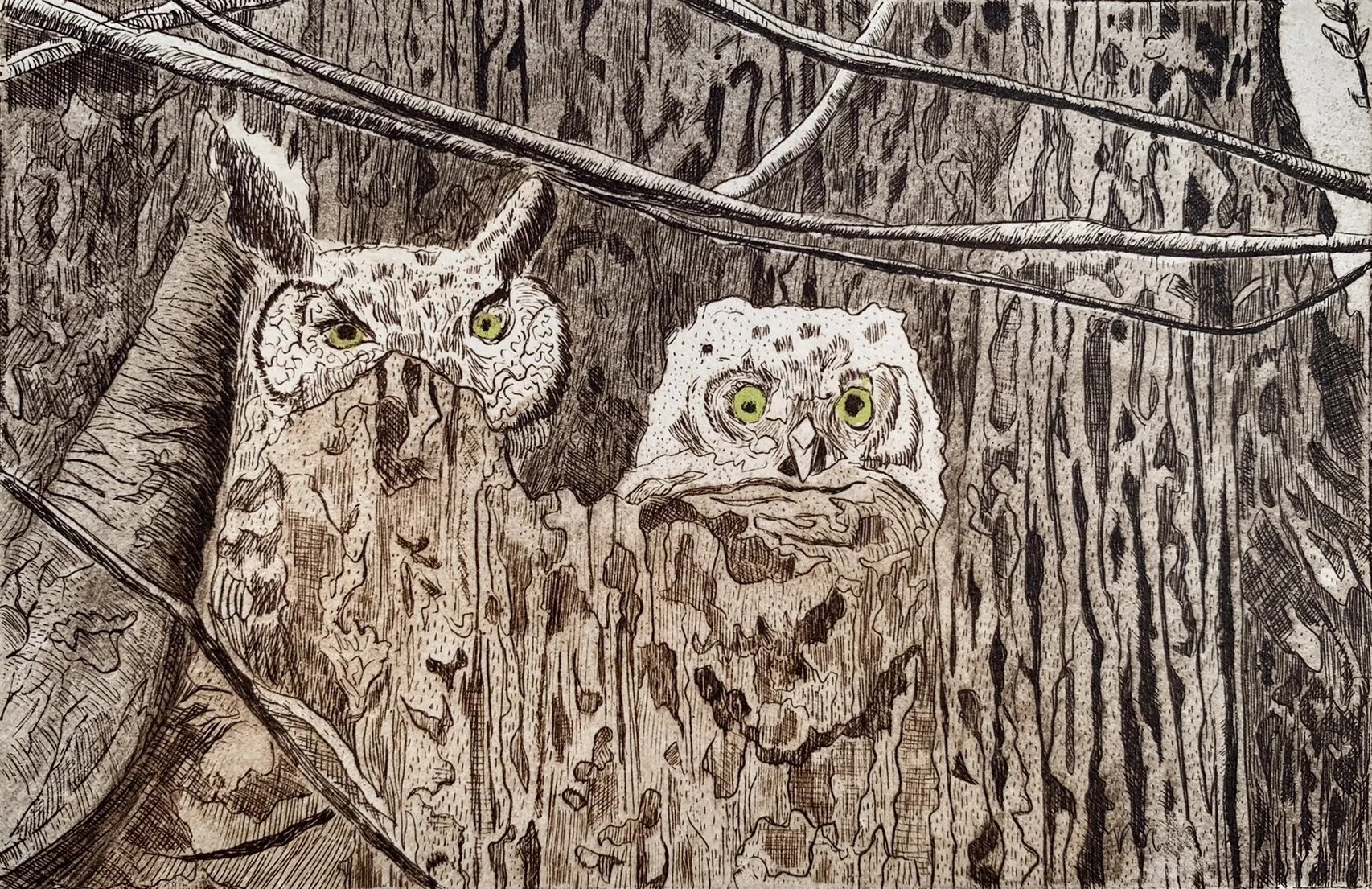 Bird Watching by Jody Bruns