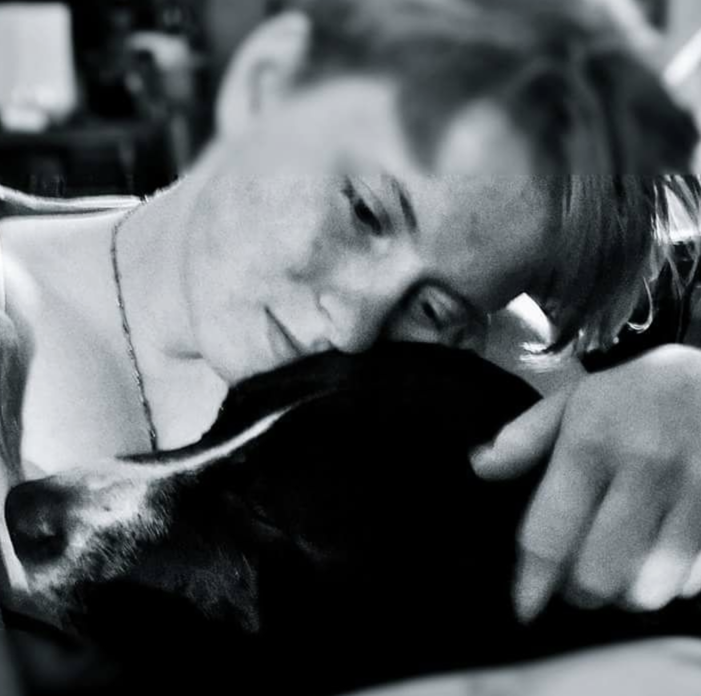 If It Speaks to You, You Get It