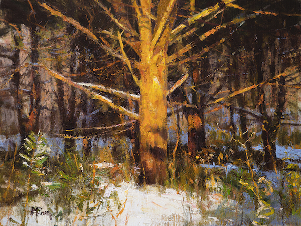 Empirical Light, Peter M. Fiore