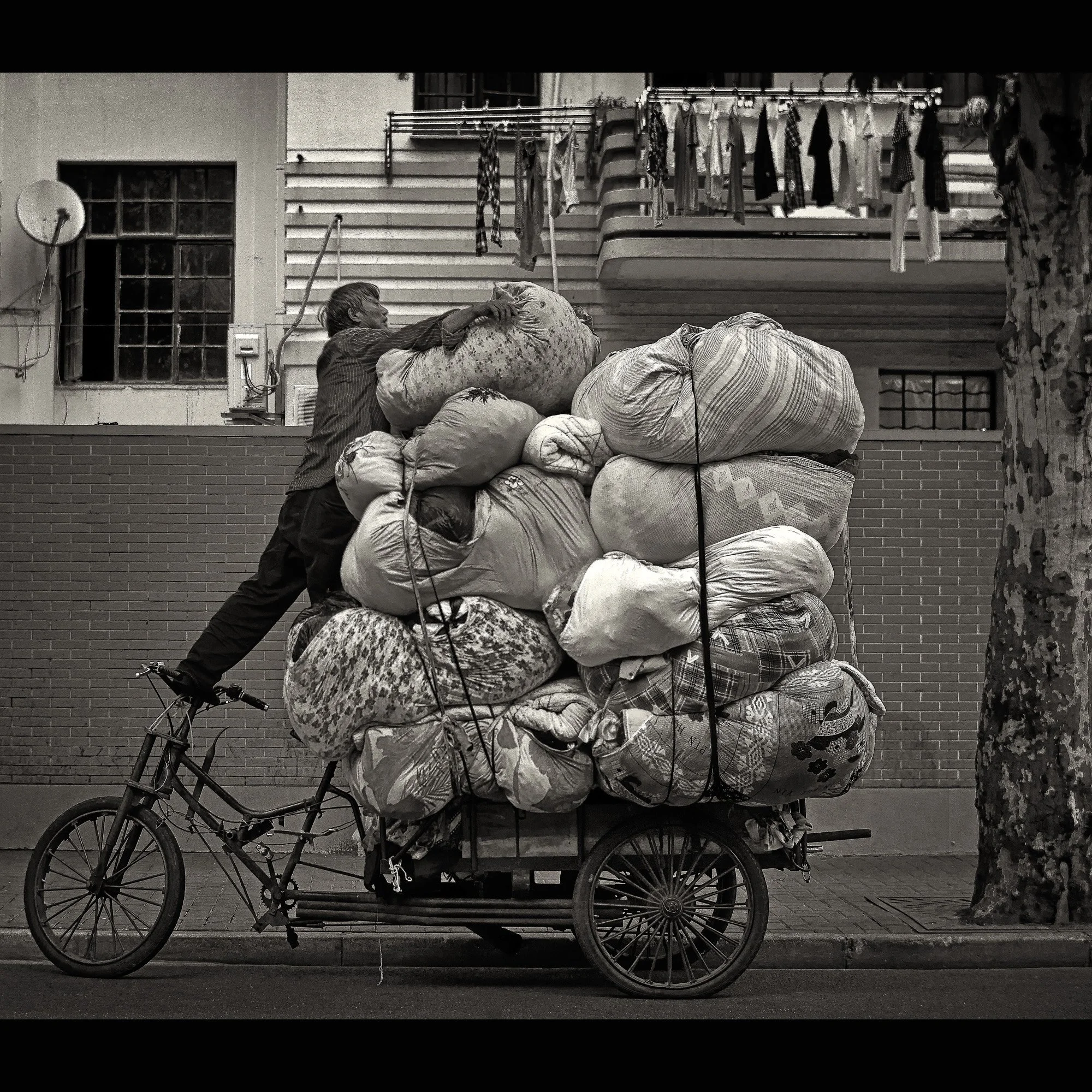 Reimagining the Quotidian
