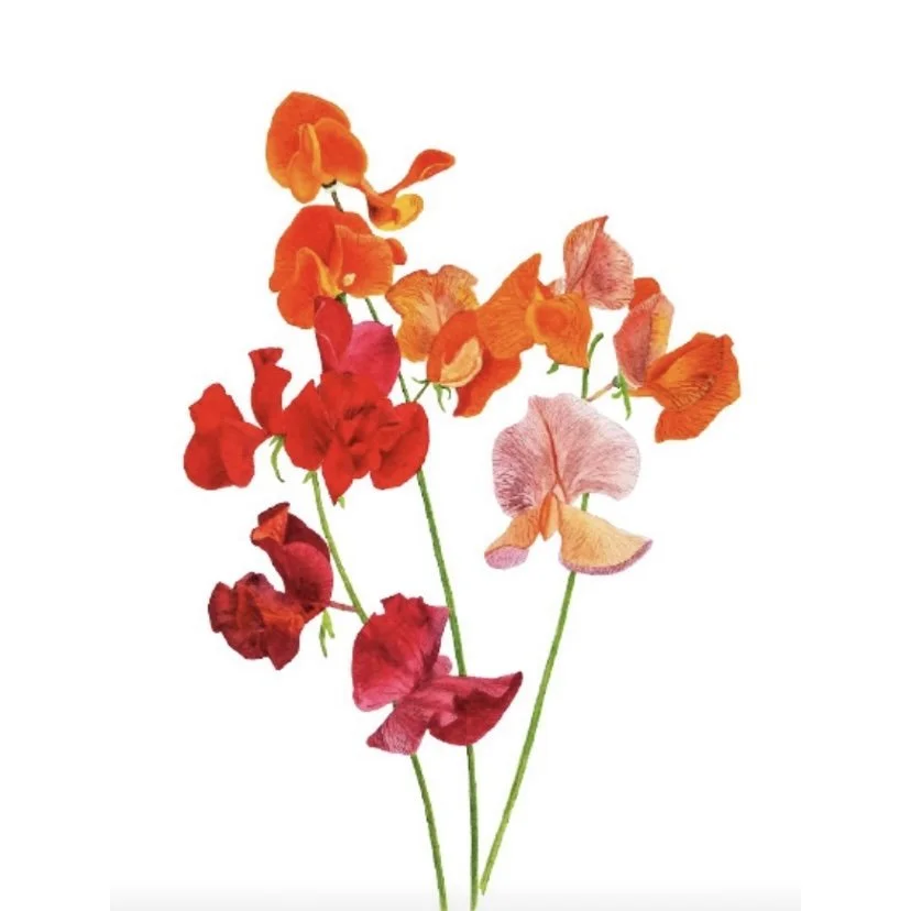 Post Traumatic Growth