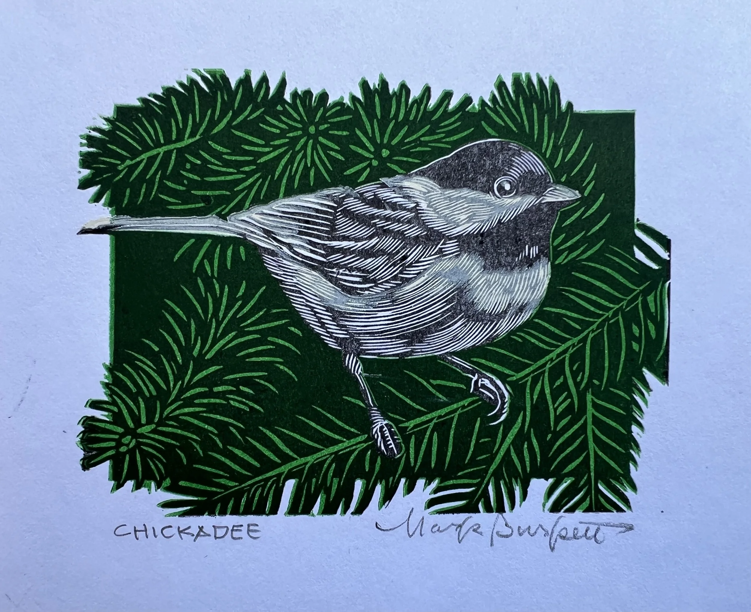 Chickadee by Mark Burkett