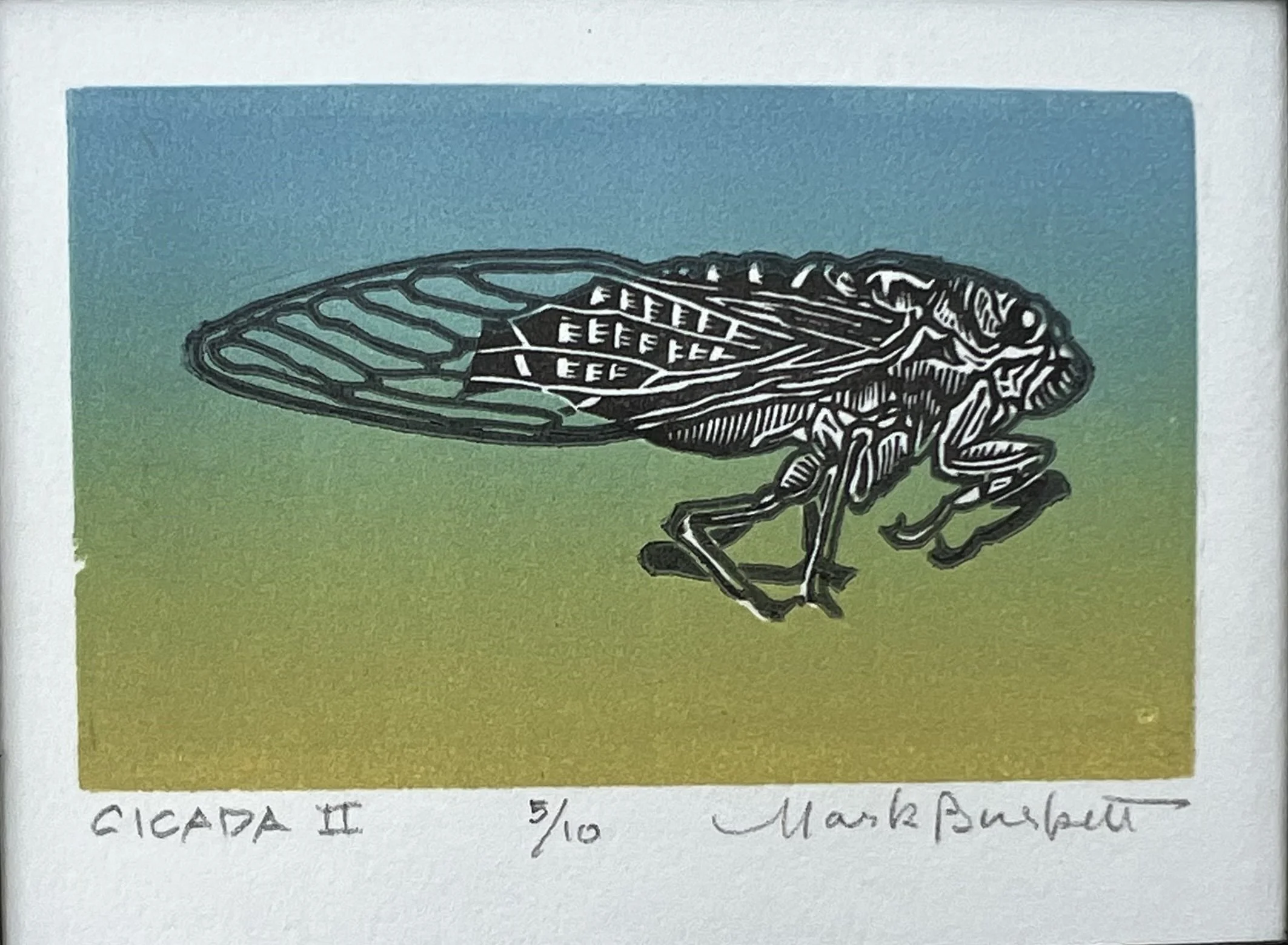 Cicada II by Mark Burkett