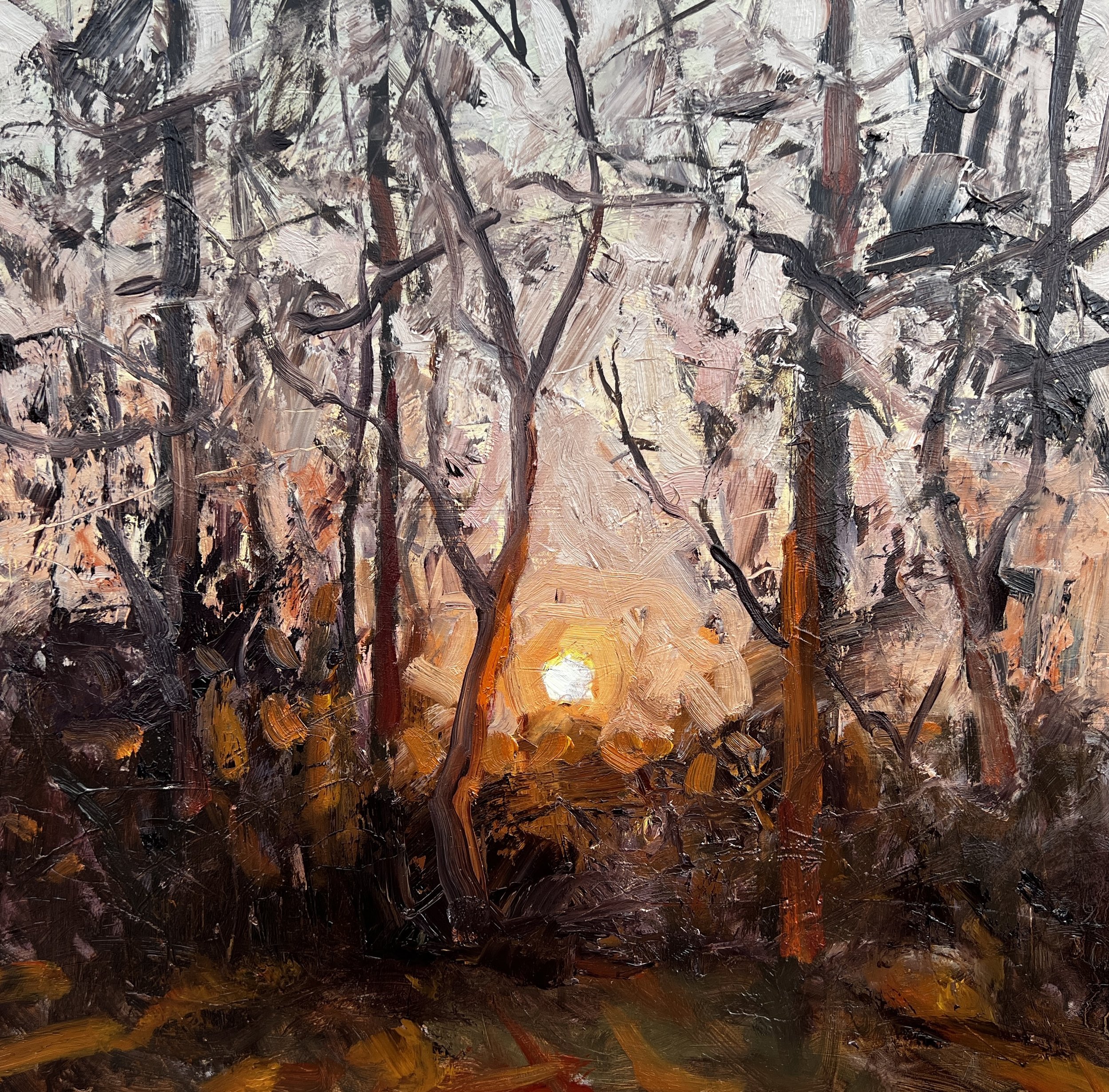 "Brown County Sunrise"