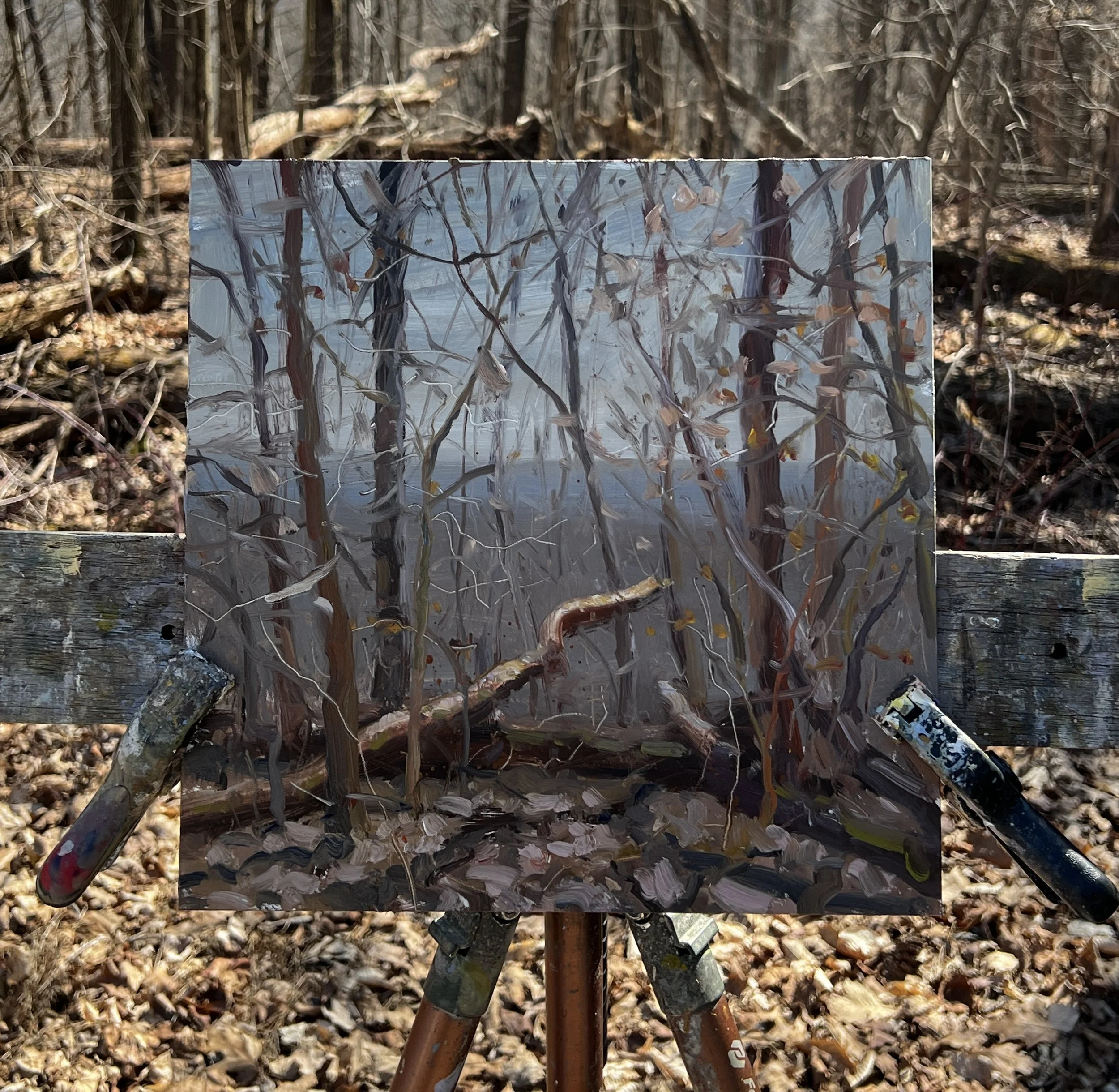 "Late Winter in Brown County"