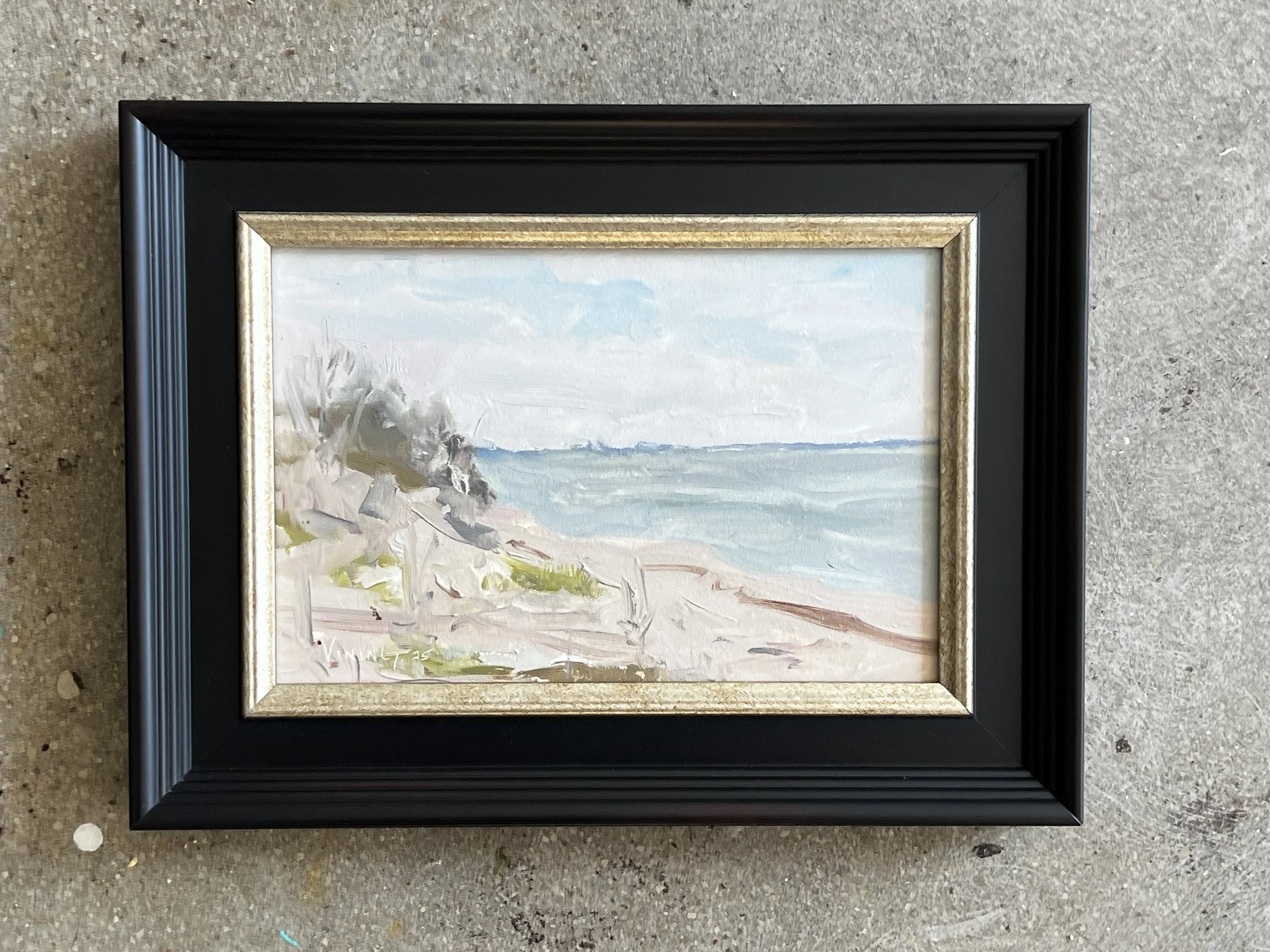 Indiana Dunes in Porter