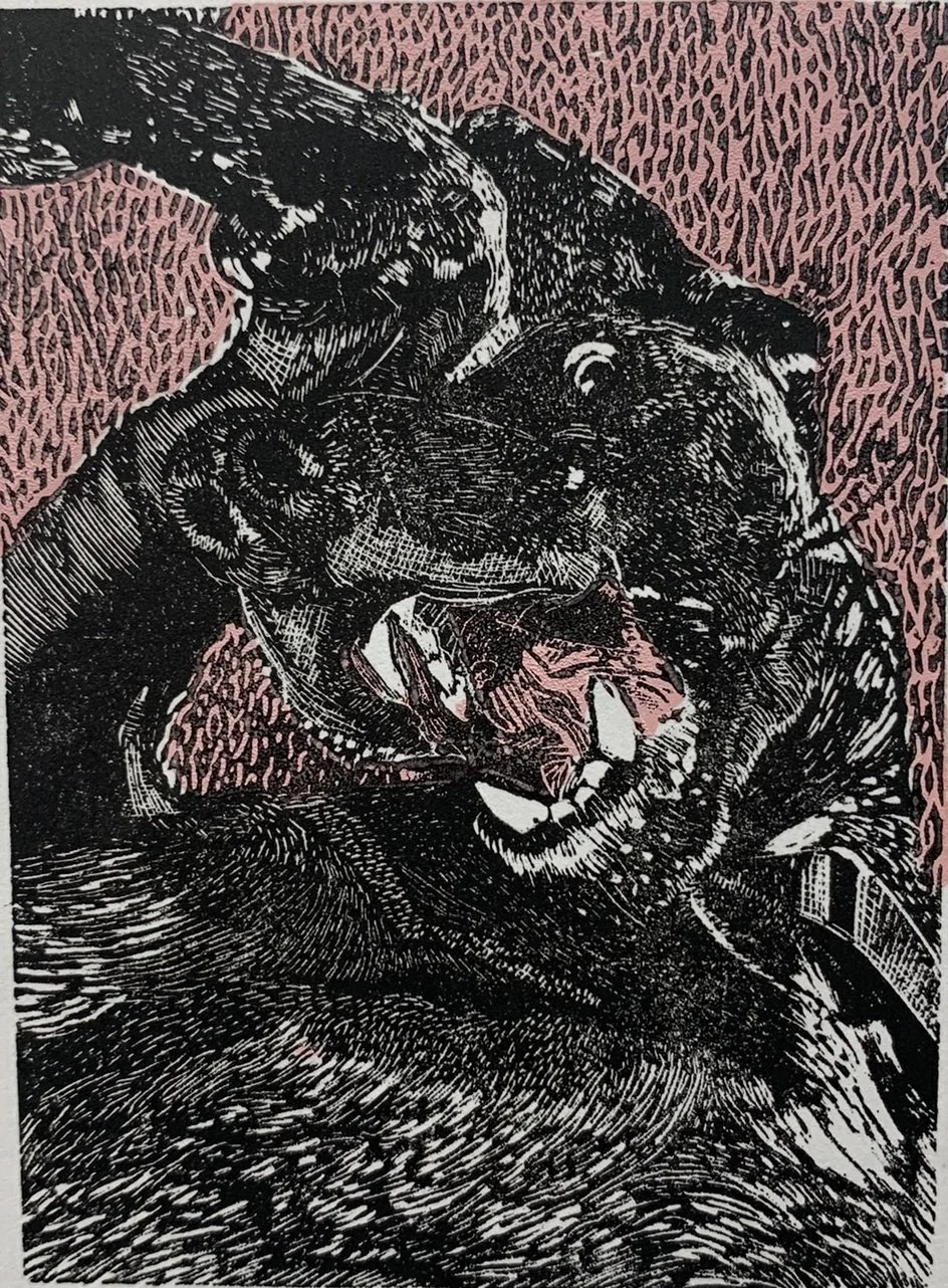 So Rowdy by Jody Bruns