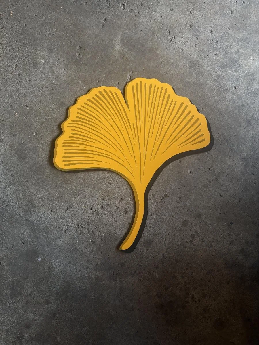 A Bright Viewpoint.jpg