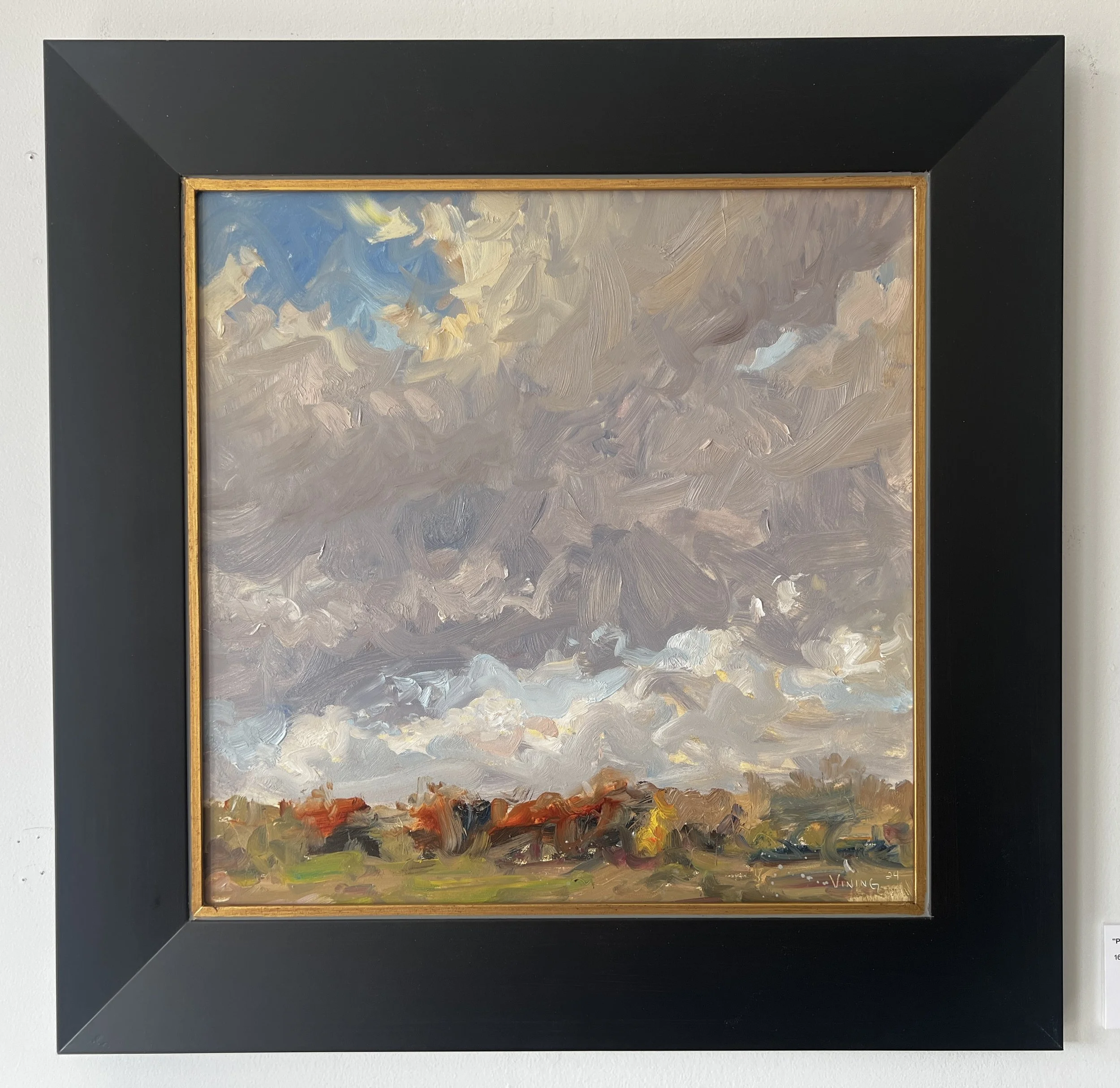 "Dynamic Clouds over an Indiana Field"