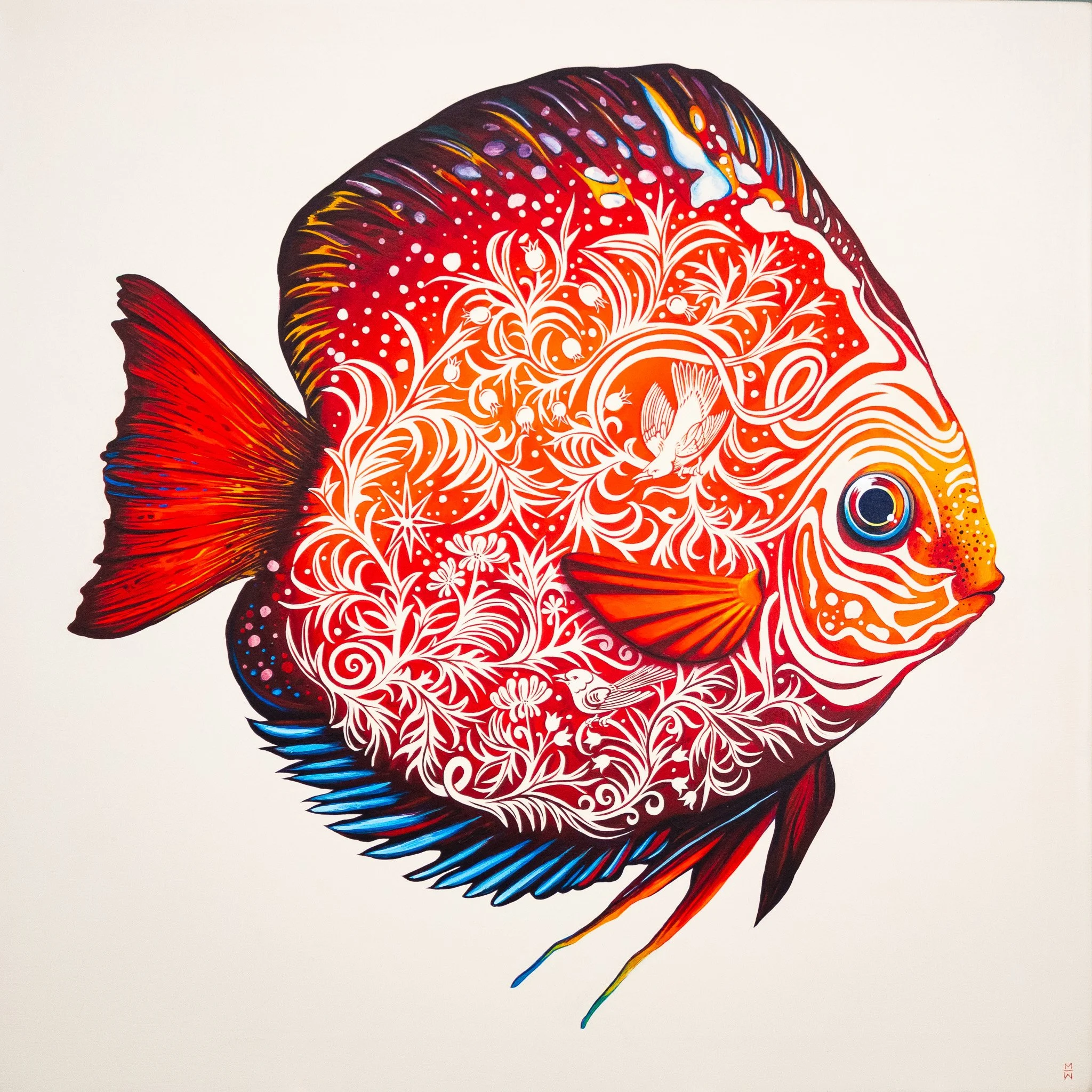 Fishing For Compliments