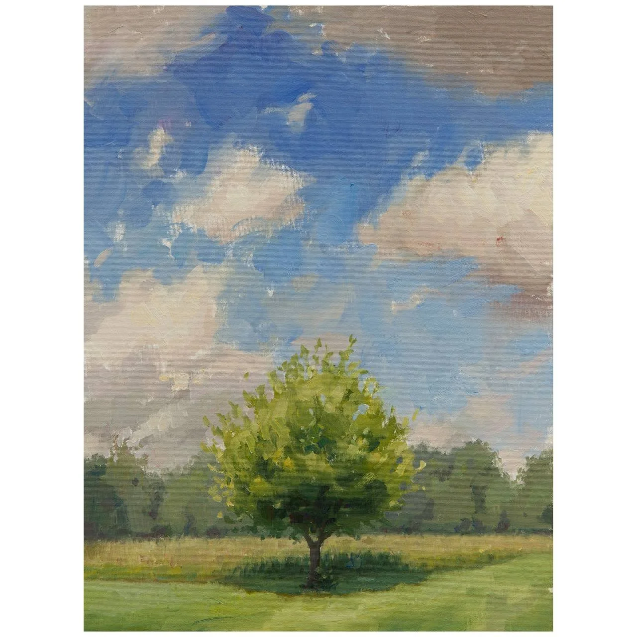 Apple Tree - June 8th 2025
