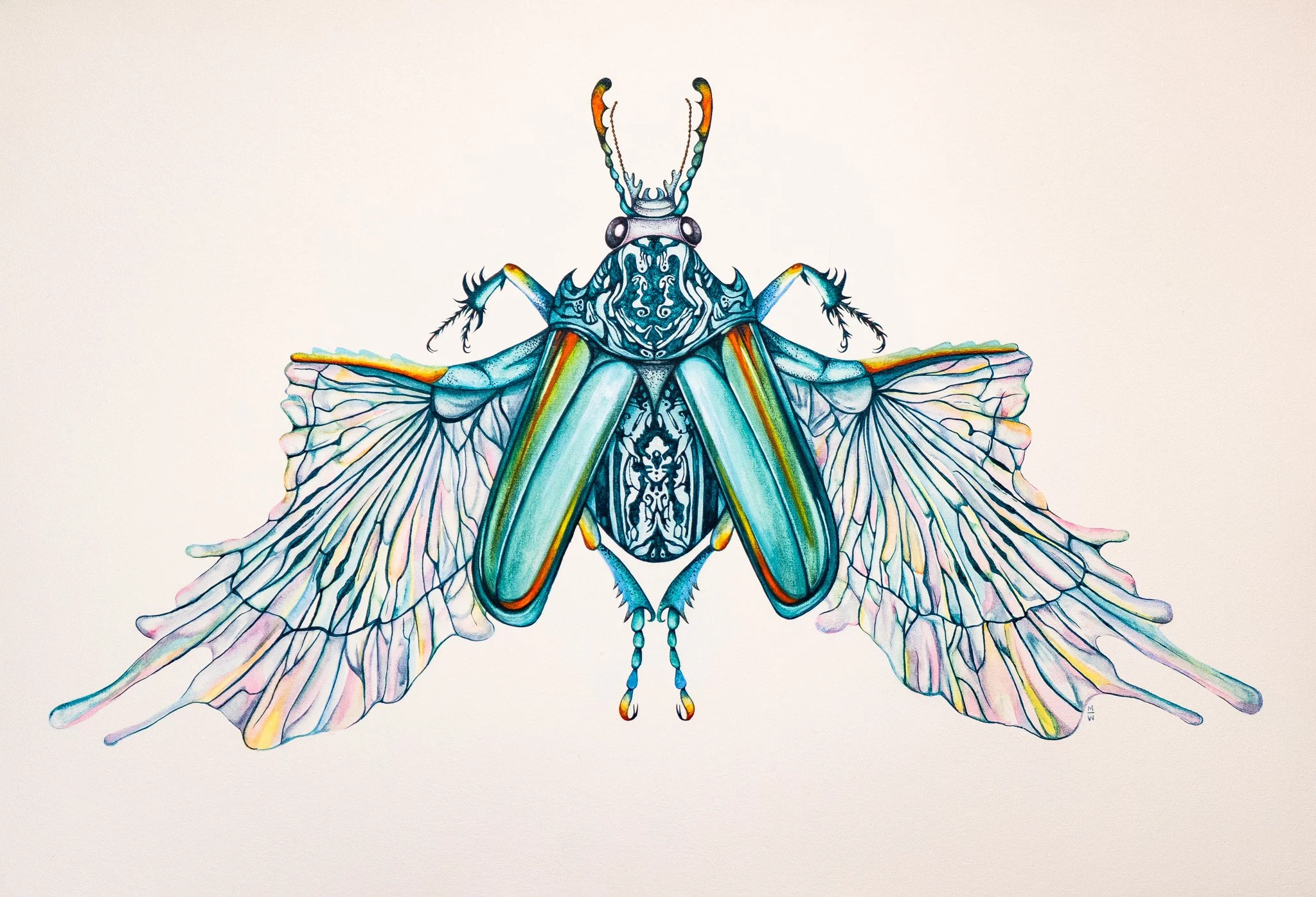 Move OVER Hermann! I'm Coming Through!