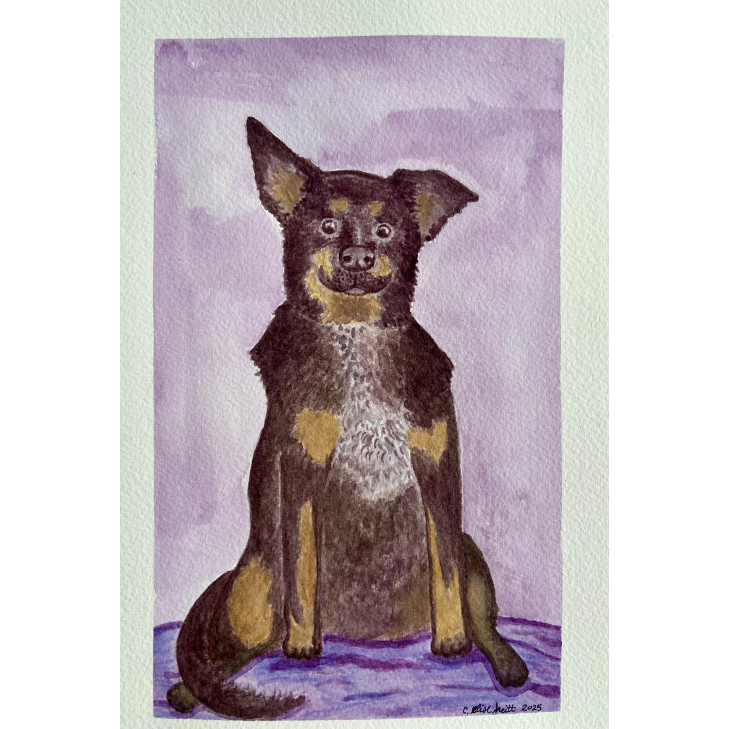 Untitled-1.png