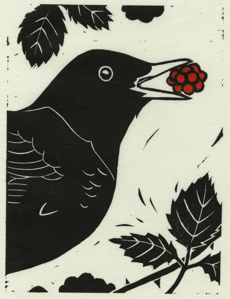 Berry Bird by Carrie Wild