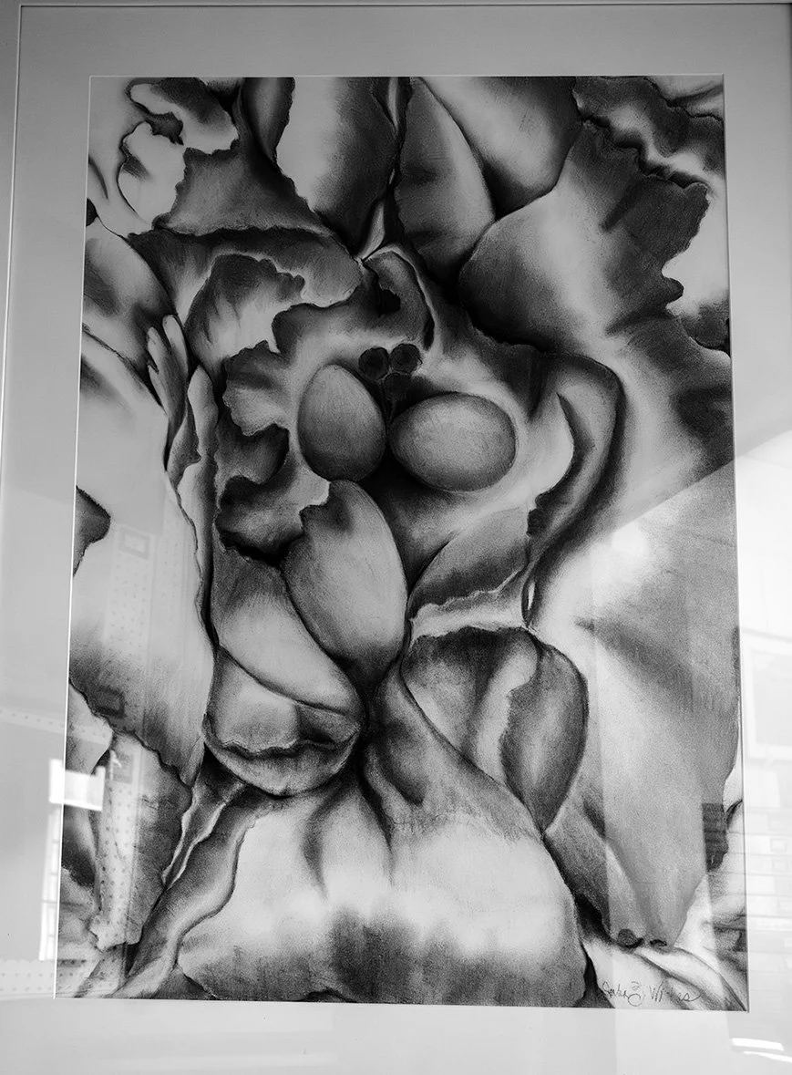 Memories of My Garden;  Petals.jpg