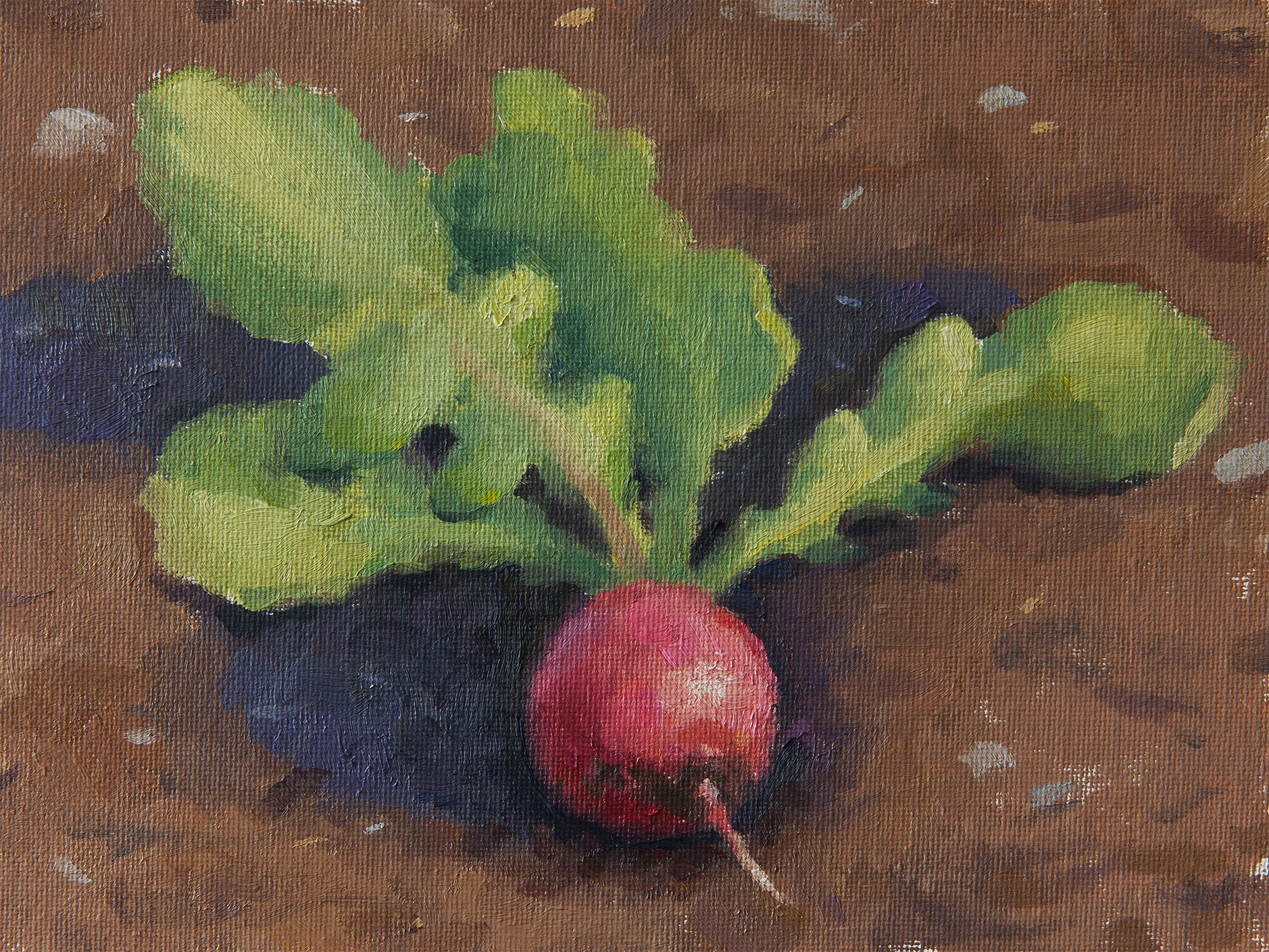 Radish - June 4th 2025.jpg