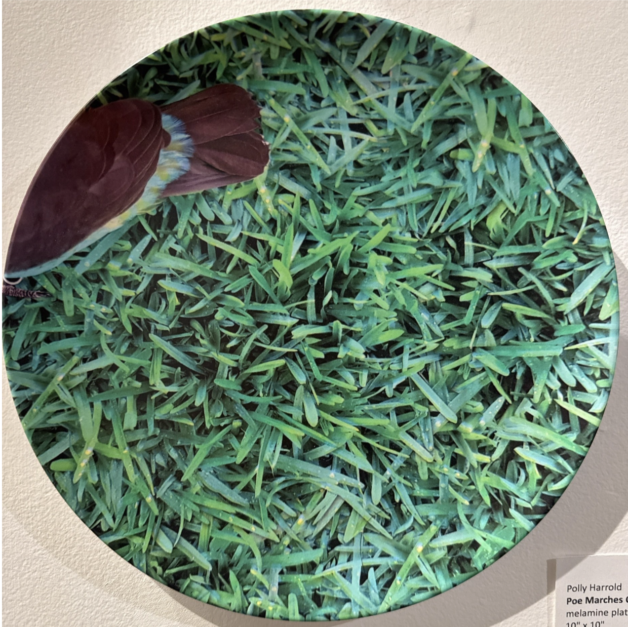 Screenshot 2025-08-01 at 11.36.13 AM.png