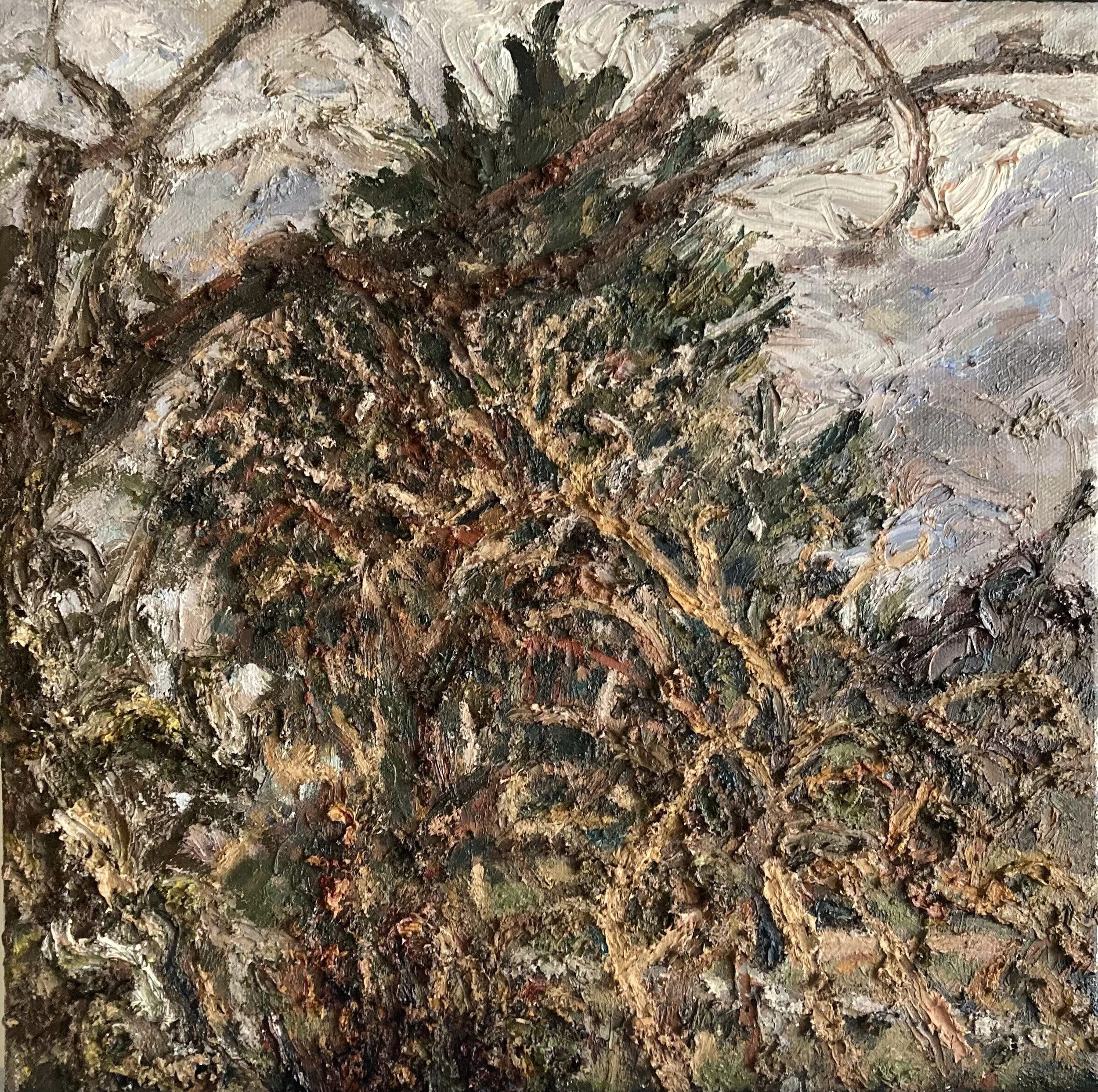 Copy of 2023- What Remains, 14x14, oil on canvas.jpg