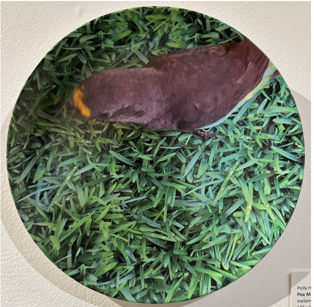 Screenshot 2025-08-01 at 11.39.35 AM.png