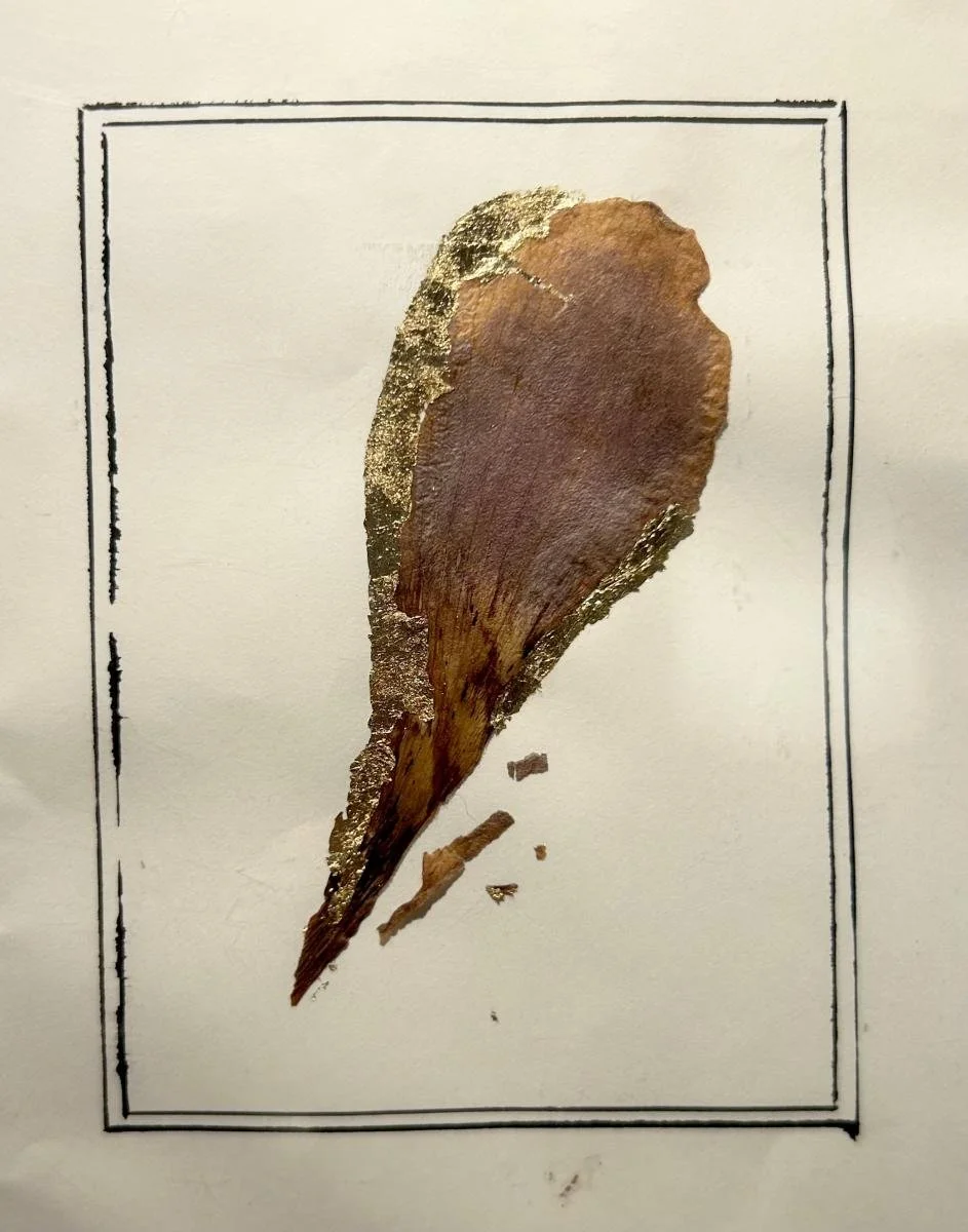 Hybrid fragmentation.jpeg