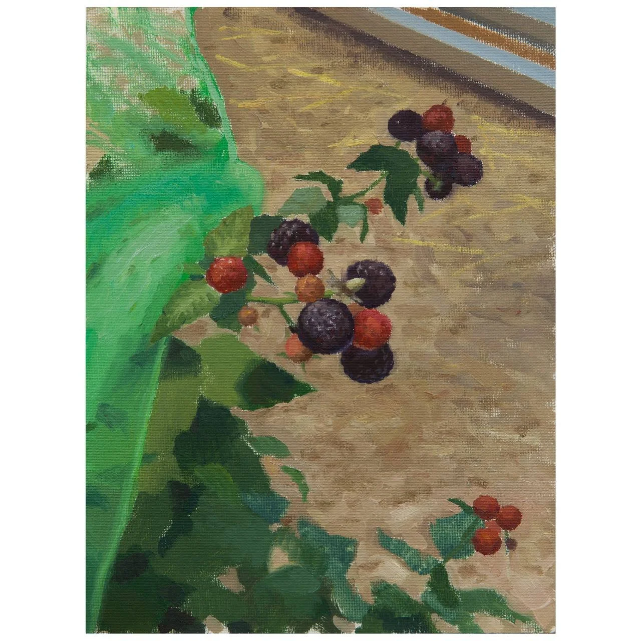 Black Raspberries - June 21st 2025