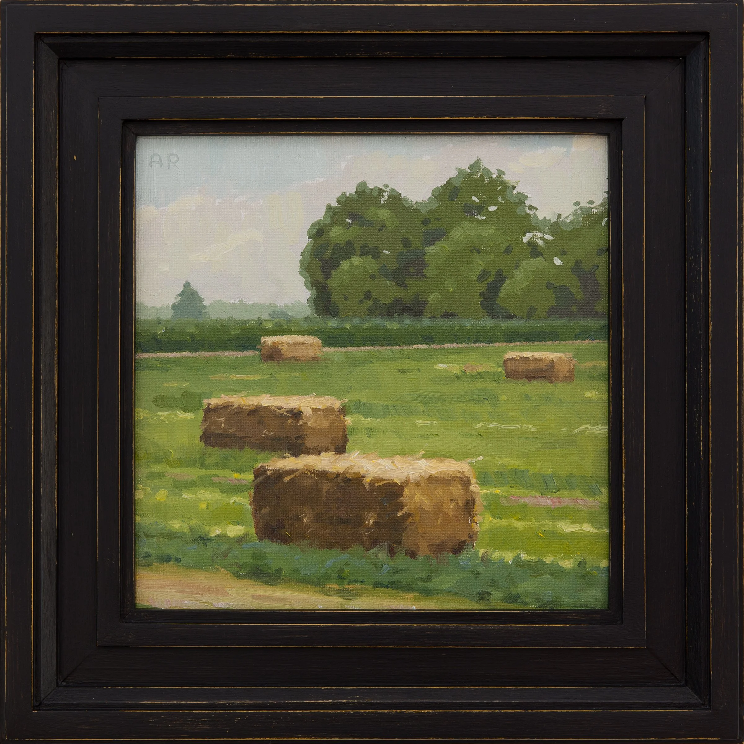 Hay Rhythm - June 22nd 2024