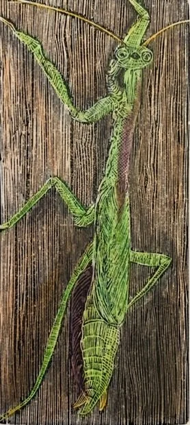 Praying Mantis by Jody Bruns