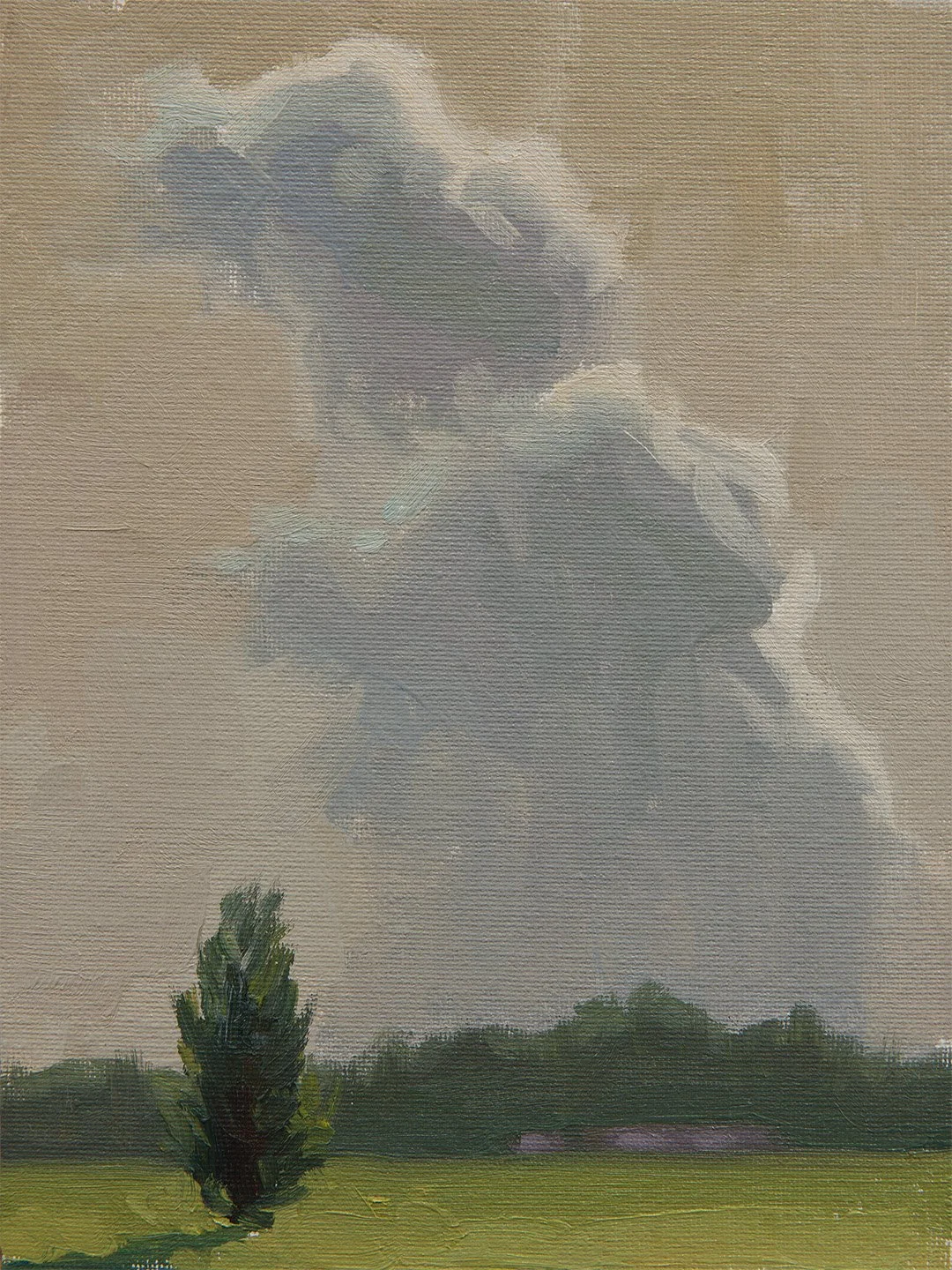 Distant Storm - June 17th 2025.jpg