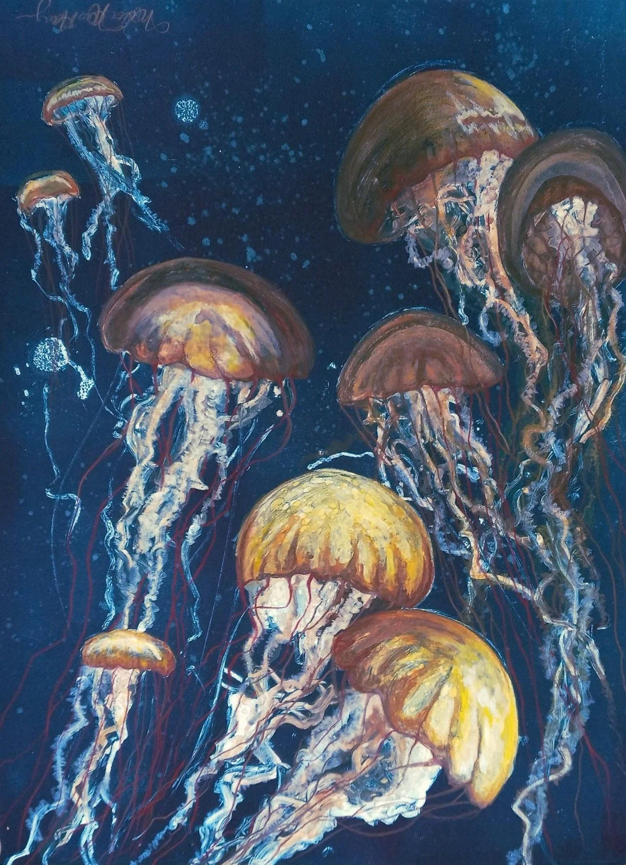 Dangerous Creatures by Melissa Nees Hauger